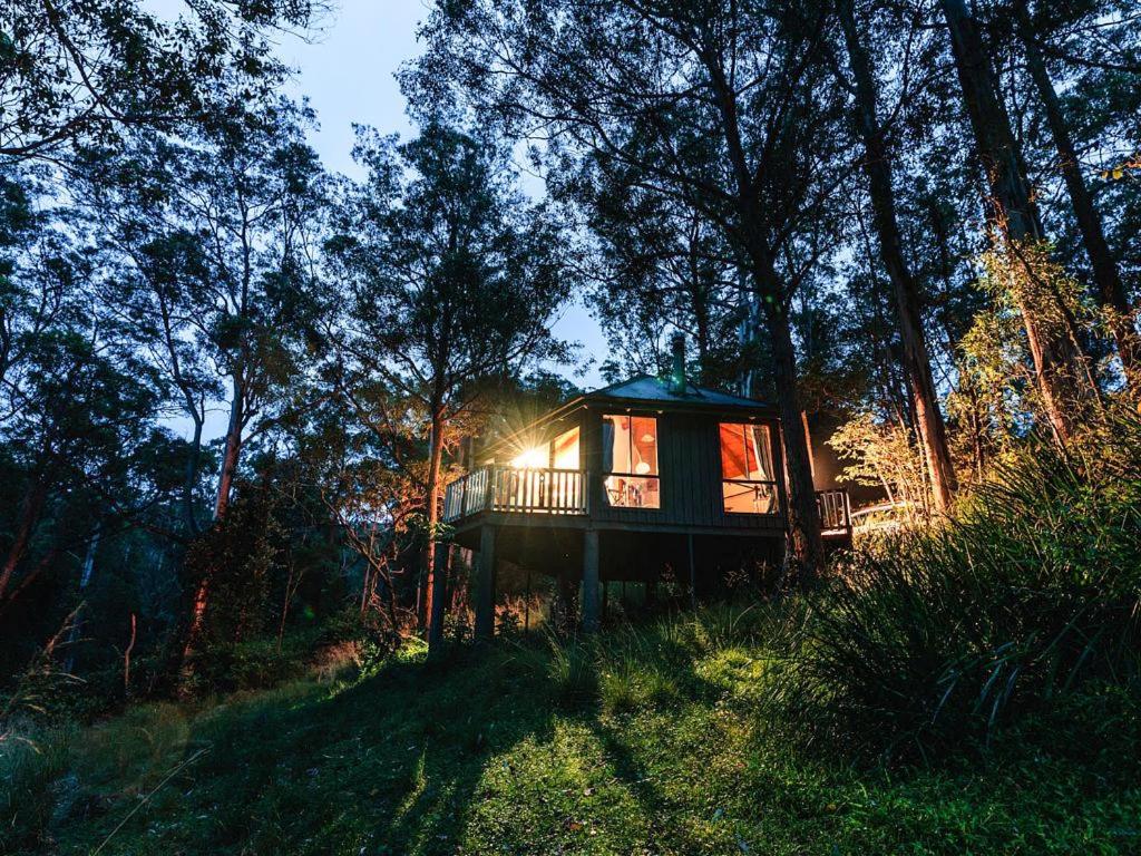 Bluegums Cabins Barrington Tops