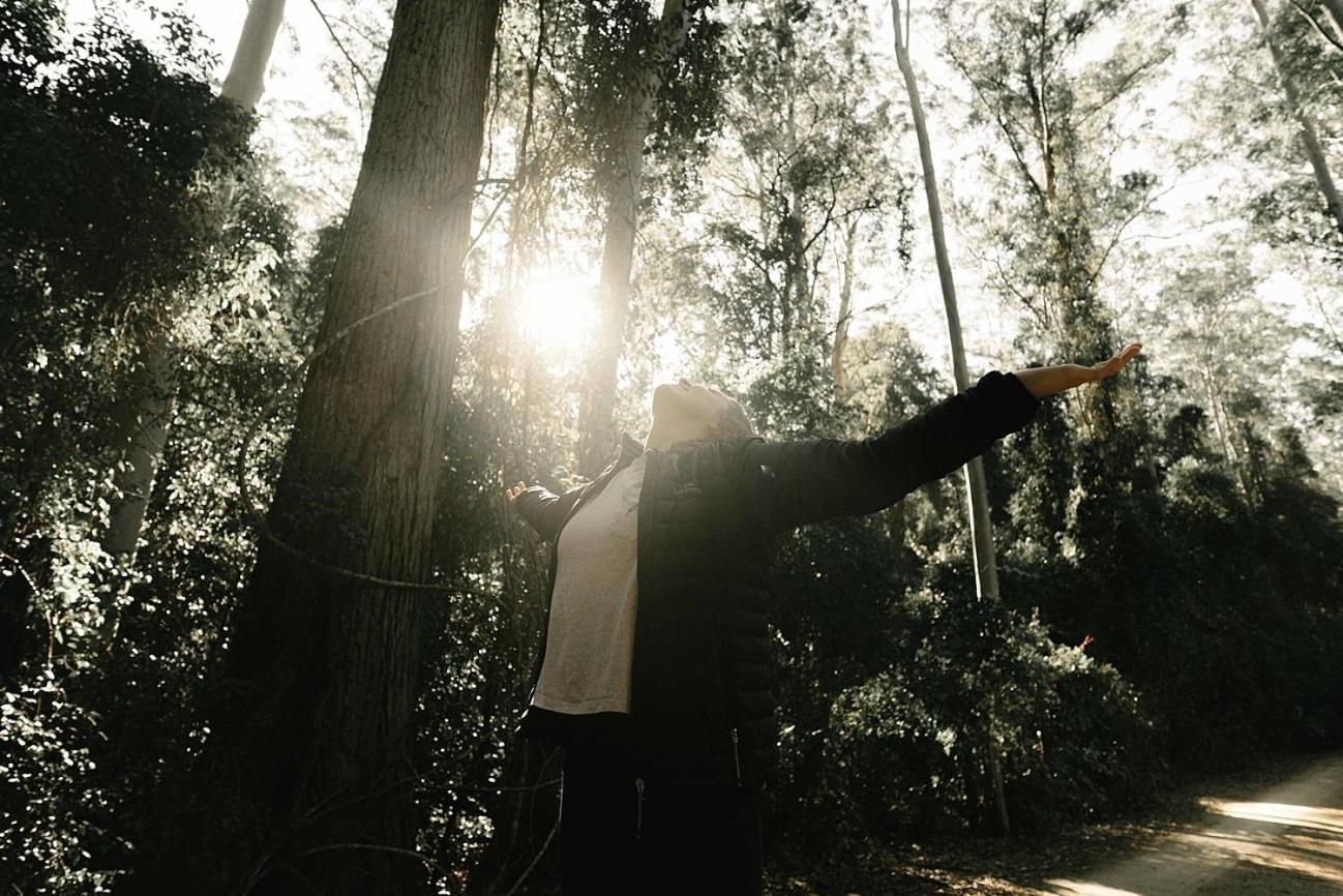 Bluegums Cabins Barrington Tops