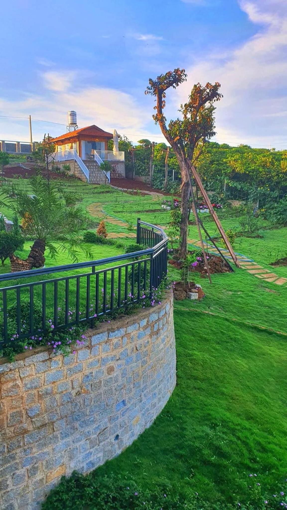 Dambri View Garden