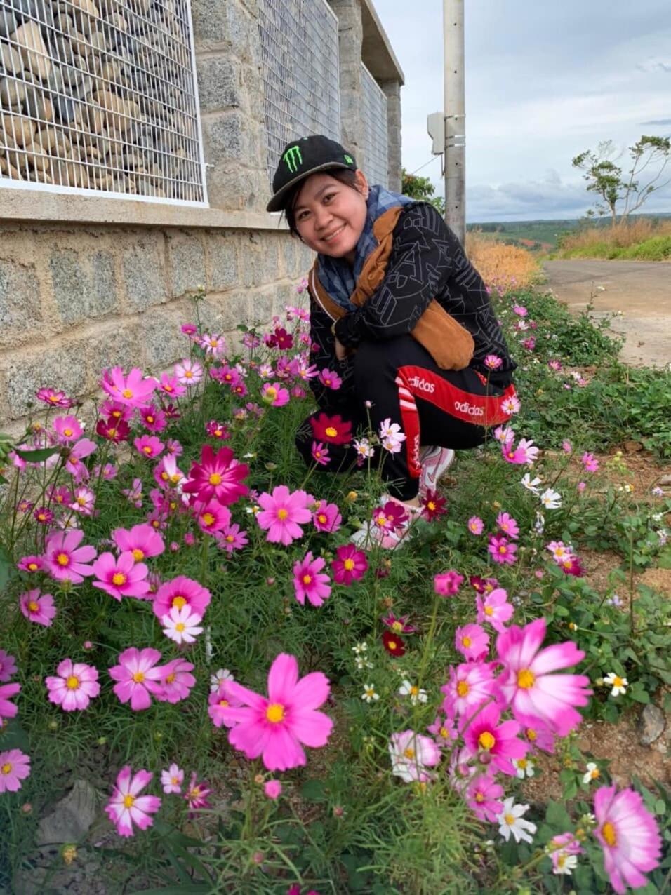Dambri View Garden