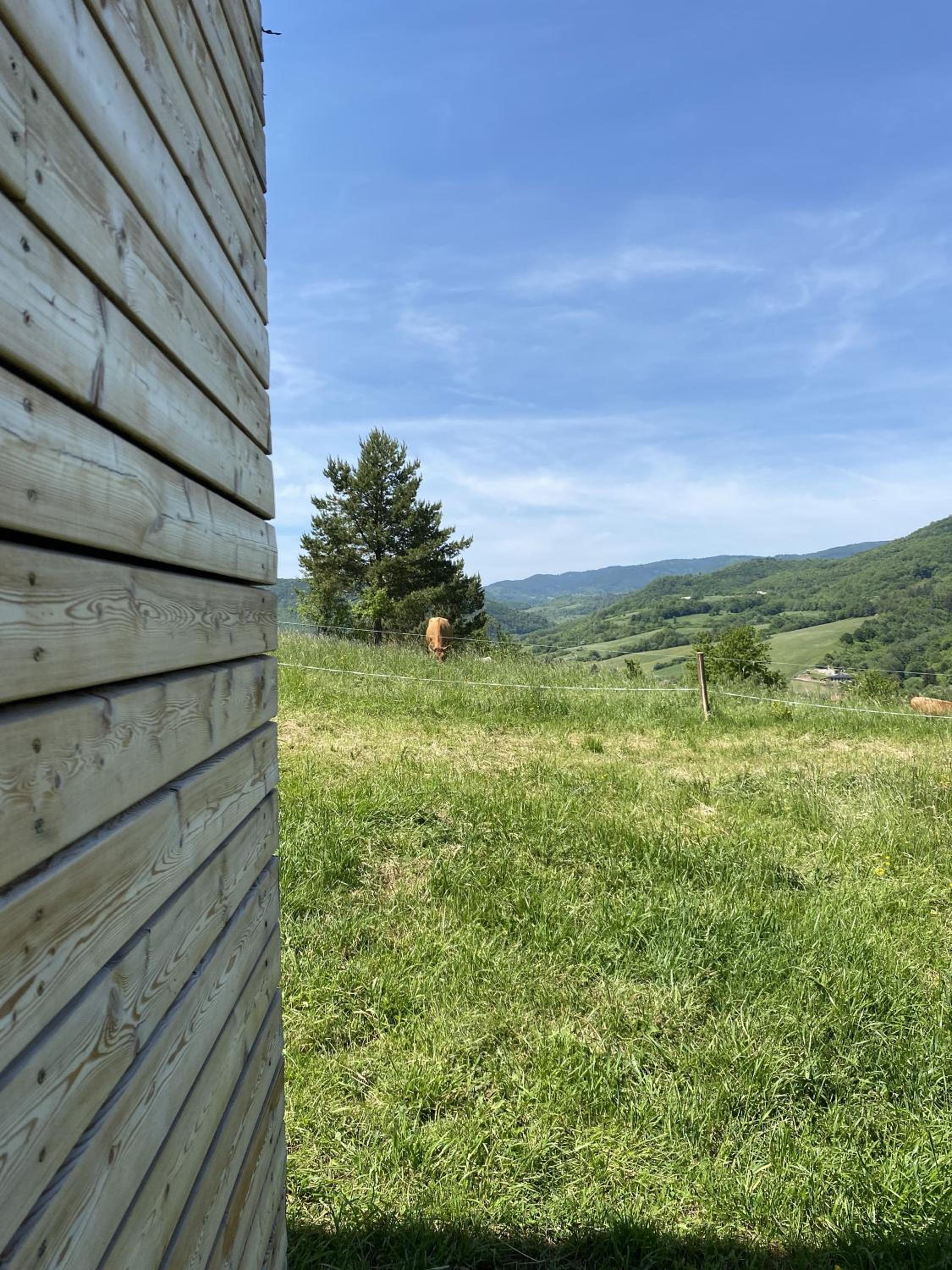 kiva cabin