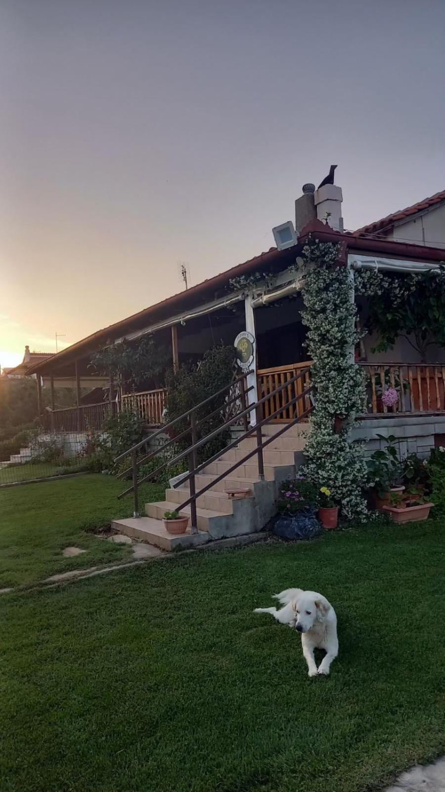 Ivonnis Garden