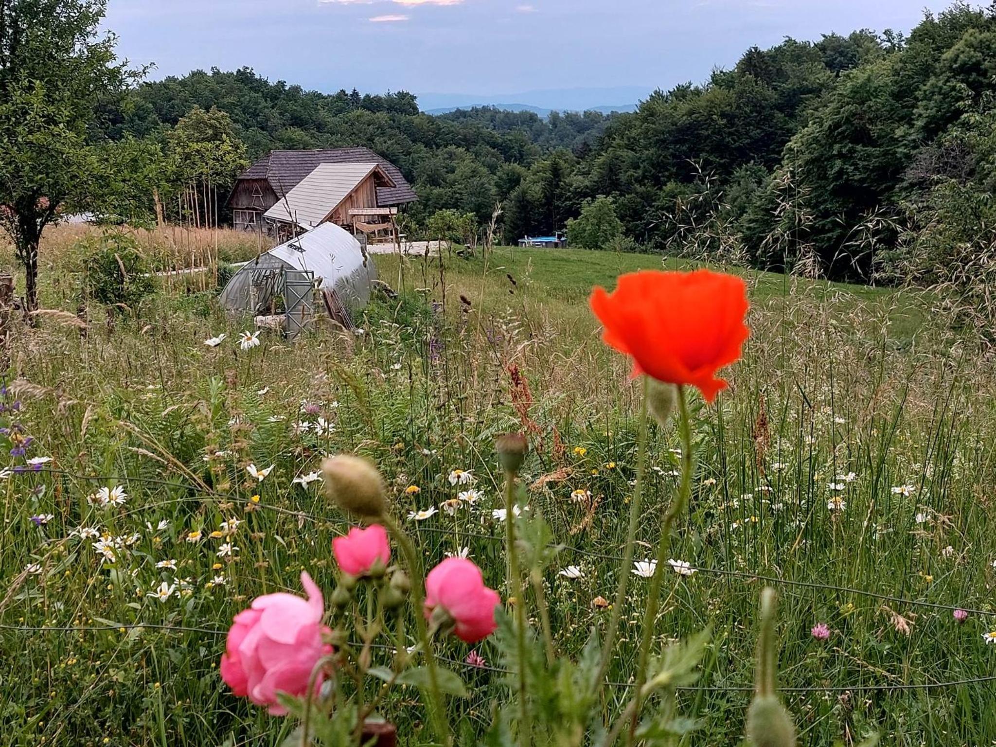Glamping - Hayrack Vesel view 2