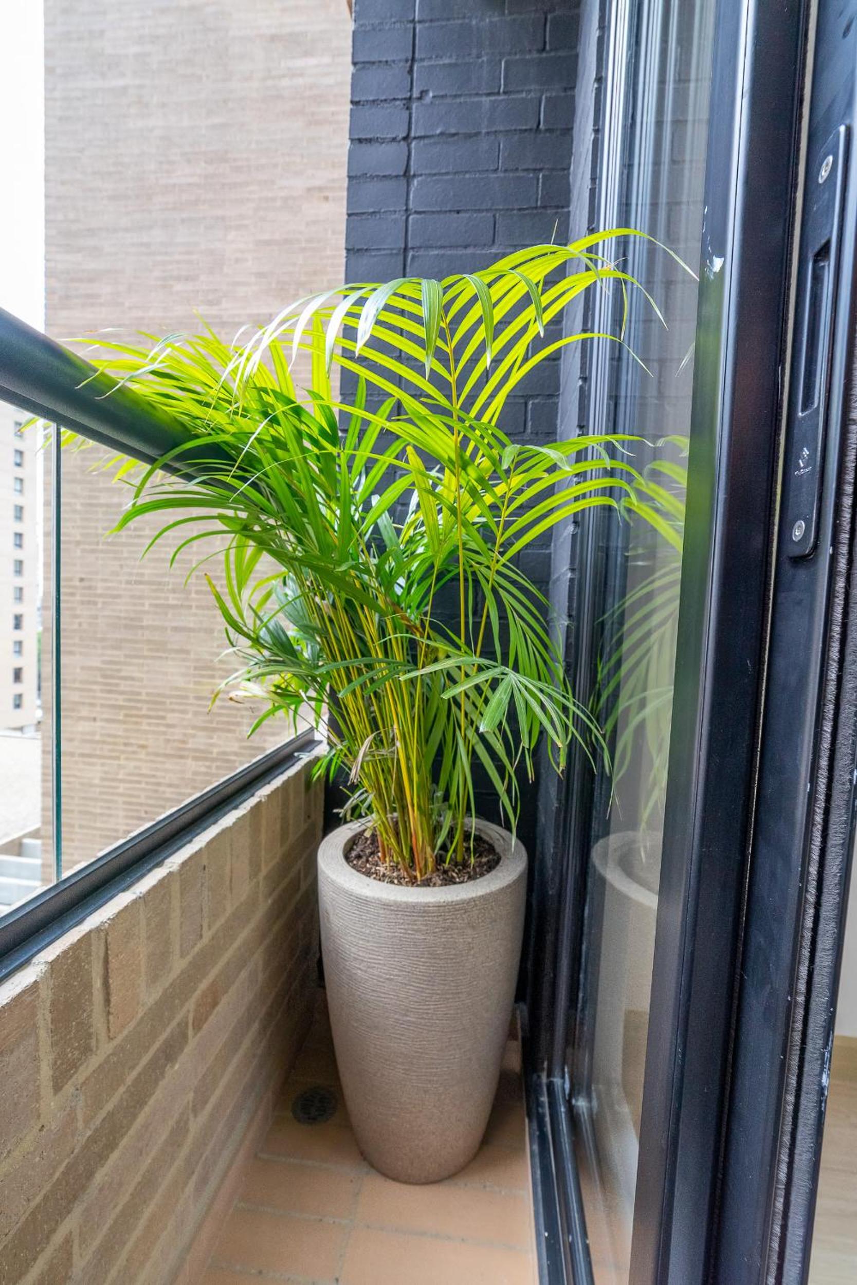 Perfect Loft In Centro Internacional