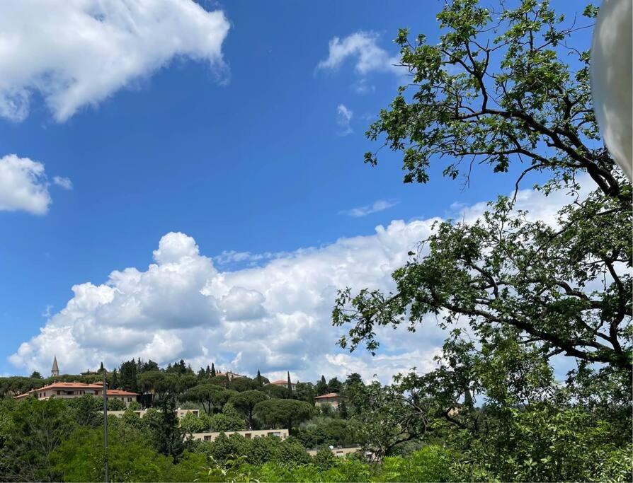 Belvedere