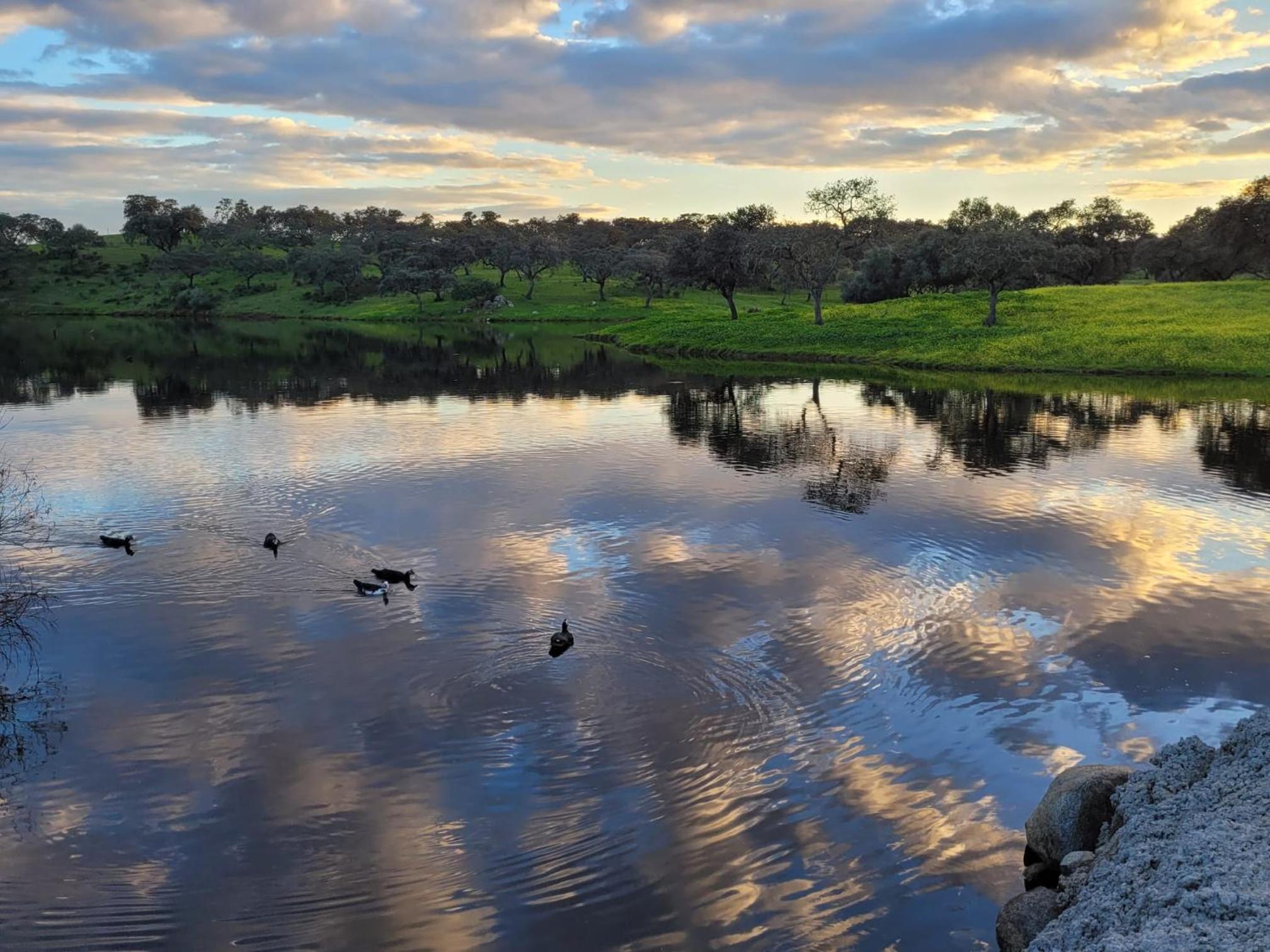 Alojamiento Rural Finca Barral