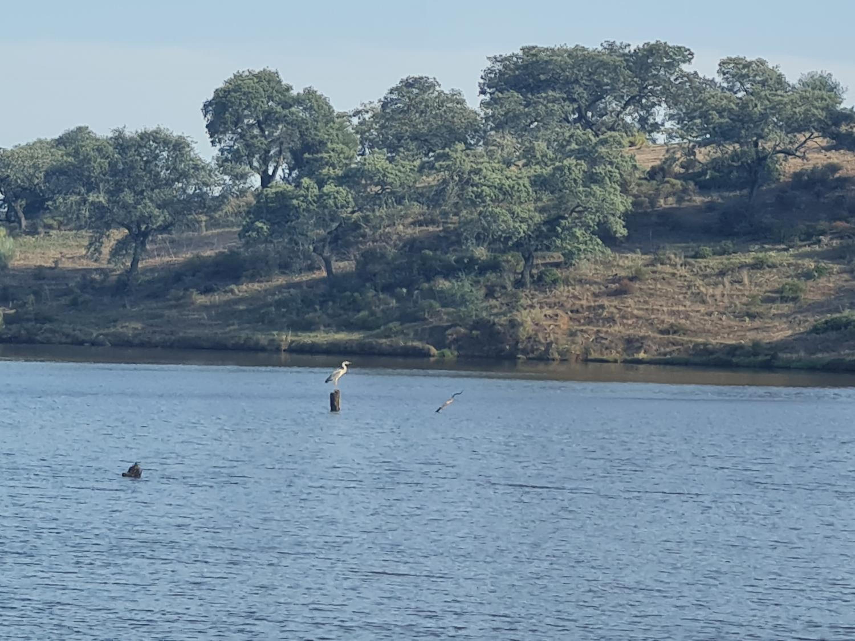 Alojamiento Rural Finca Barral