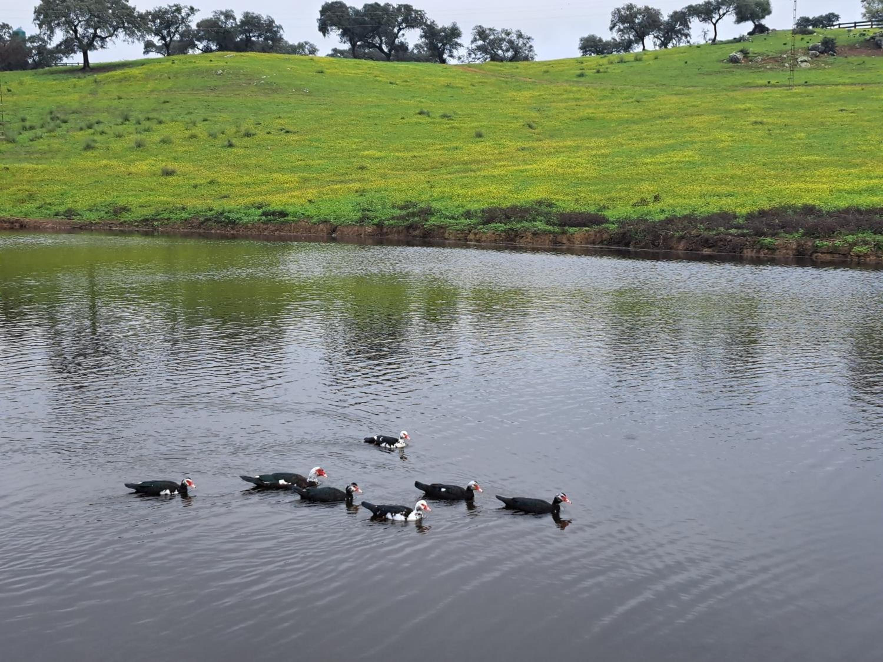 Alojamiento Rural Finca Barral