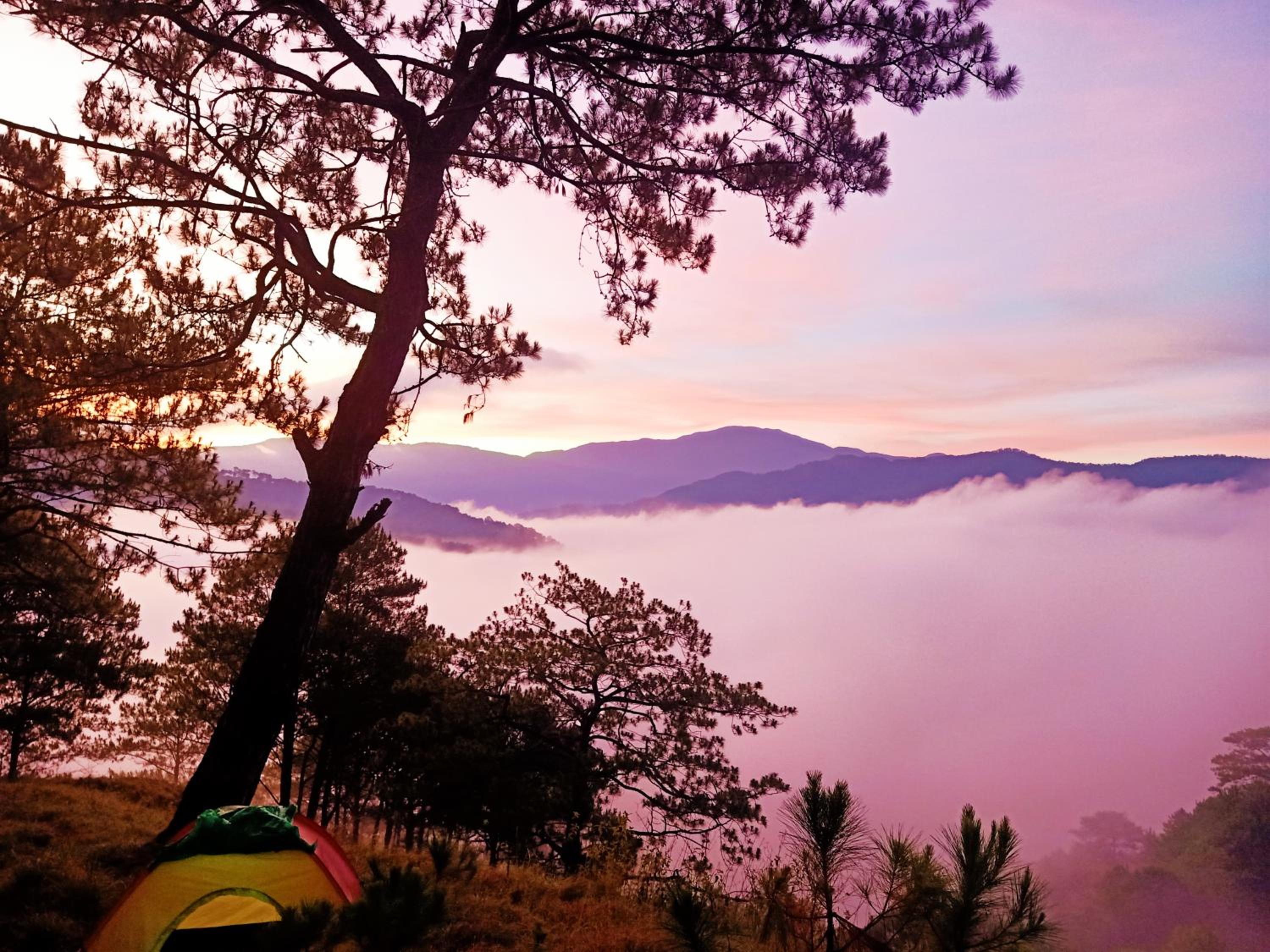 IYAMAN FARM NEAR SAGADA MOUNTAIN PROVINCE, PH