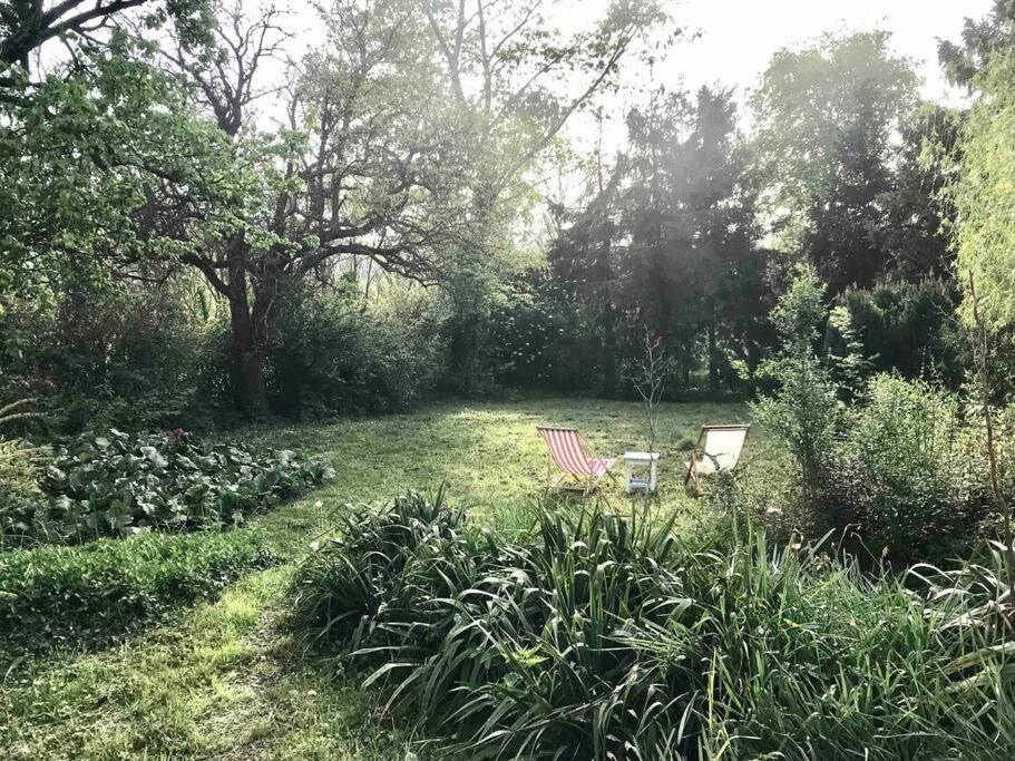 Photo 21