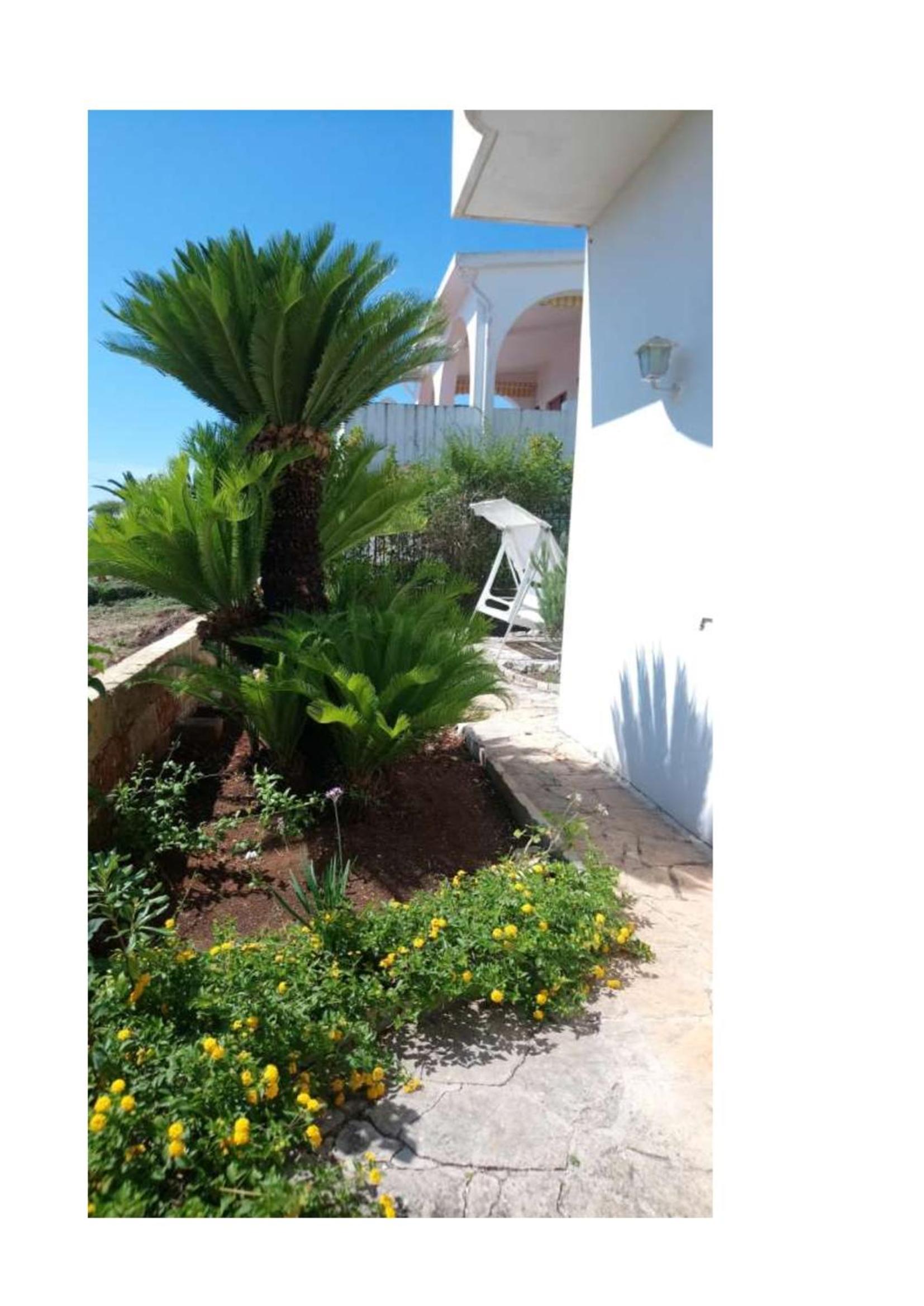 Casa Viadellavela