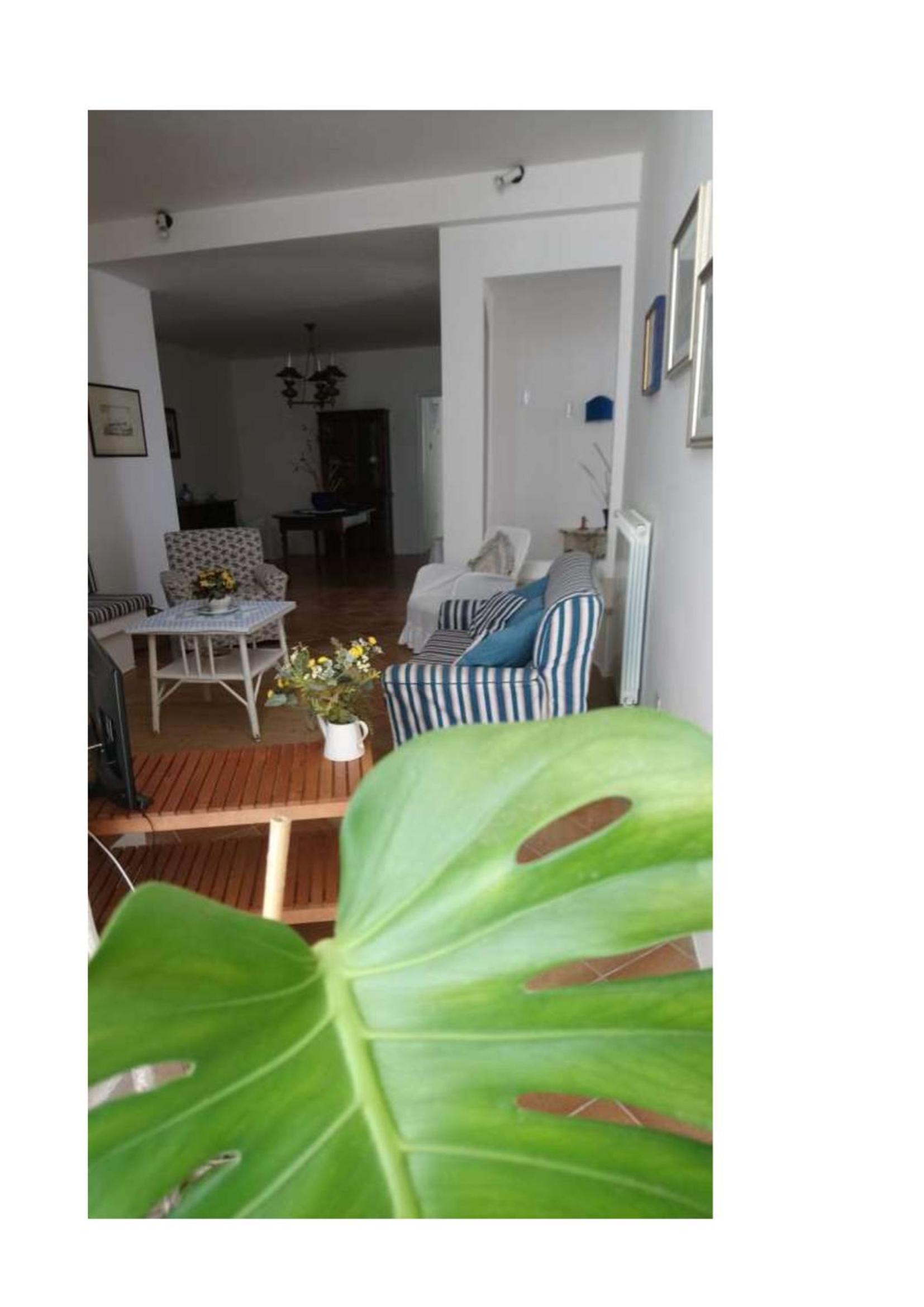 Casa Viadellavela
