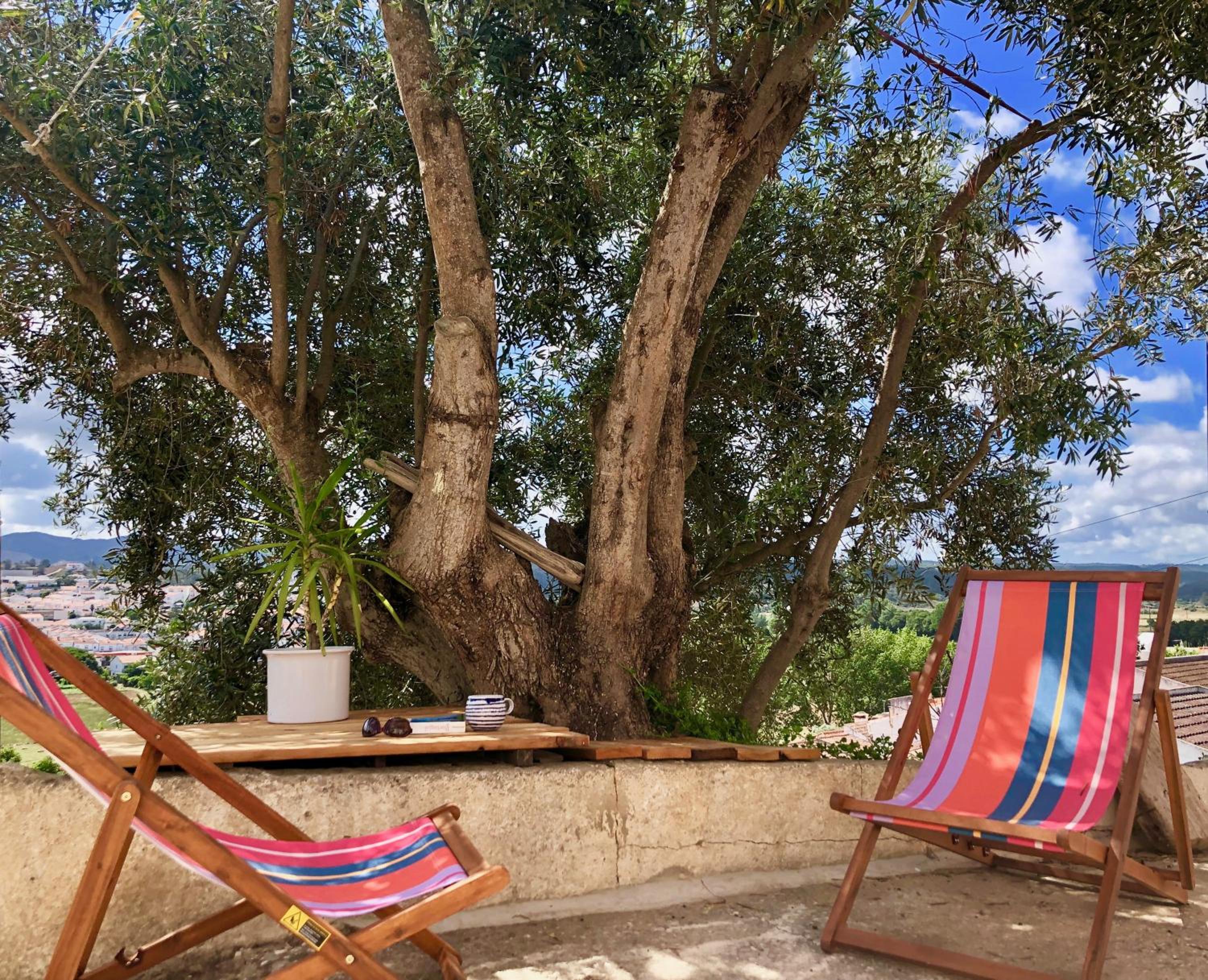 Casa Anneli - relaxing under the olive tree view 2