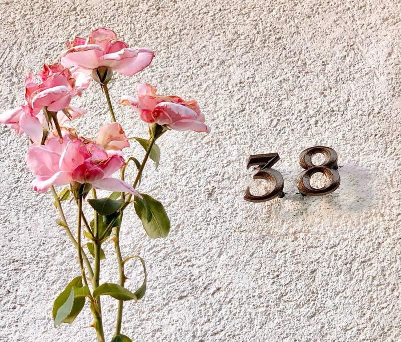 Photo 45
