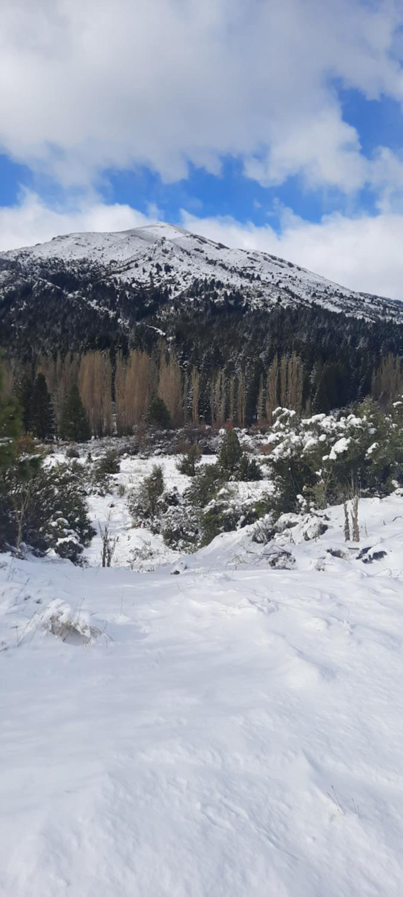 Cabaña Challhuaco