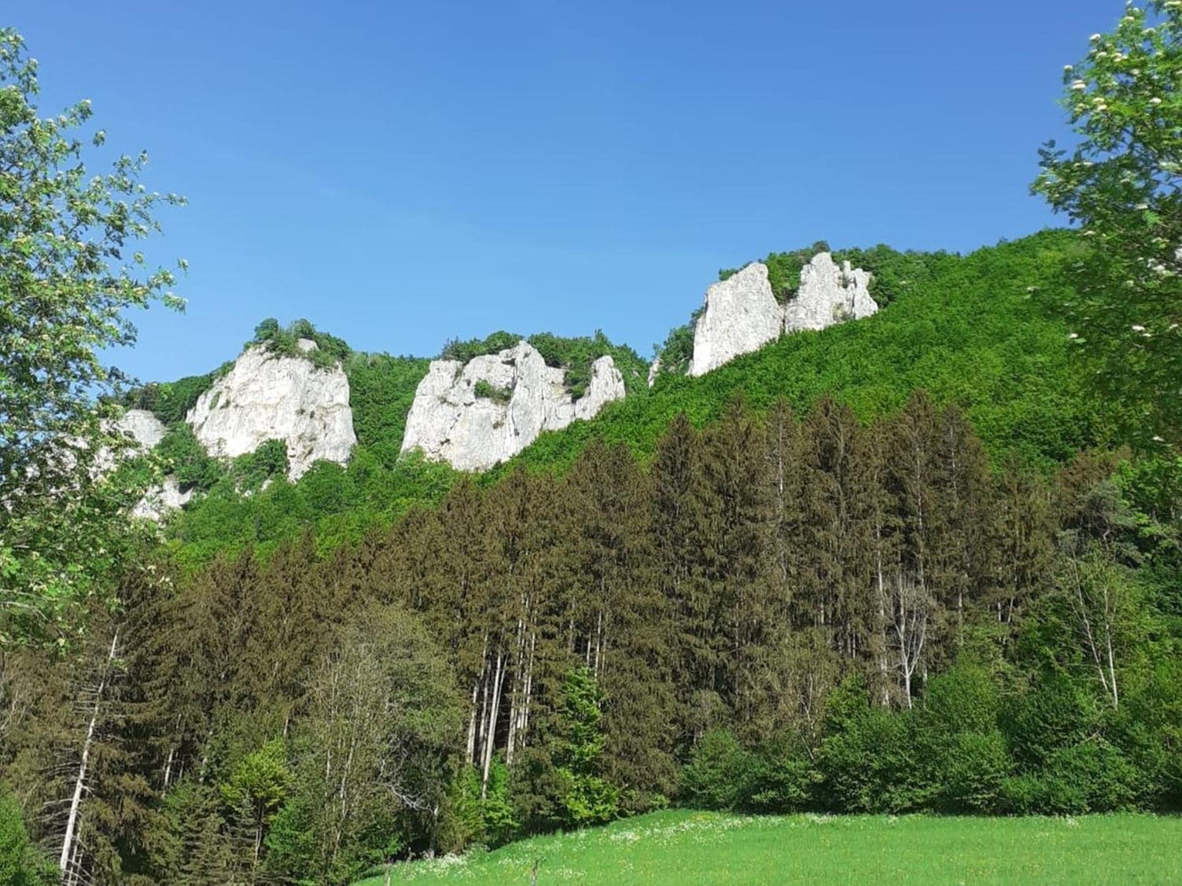 Dorfglück Oberdigisheim