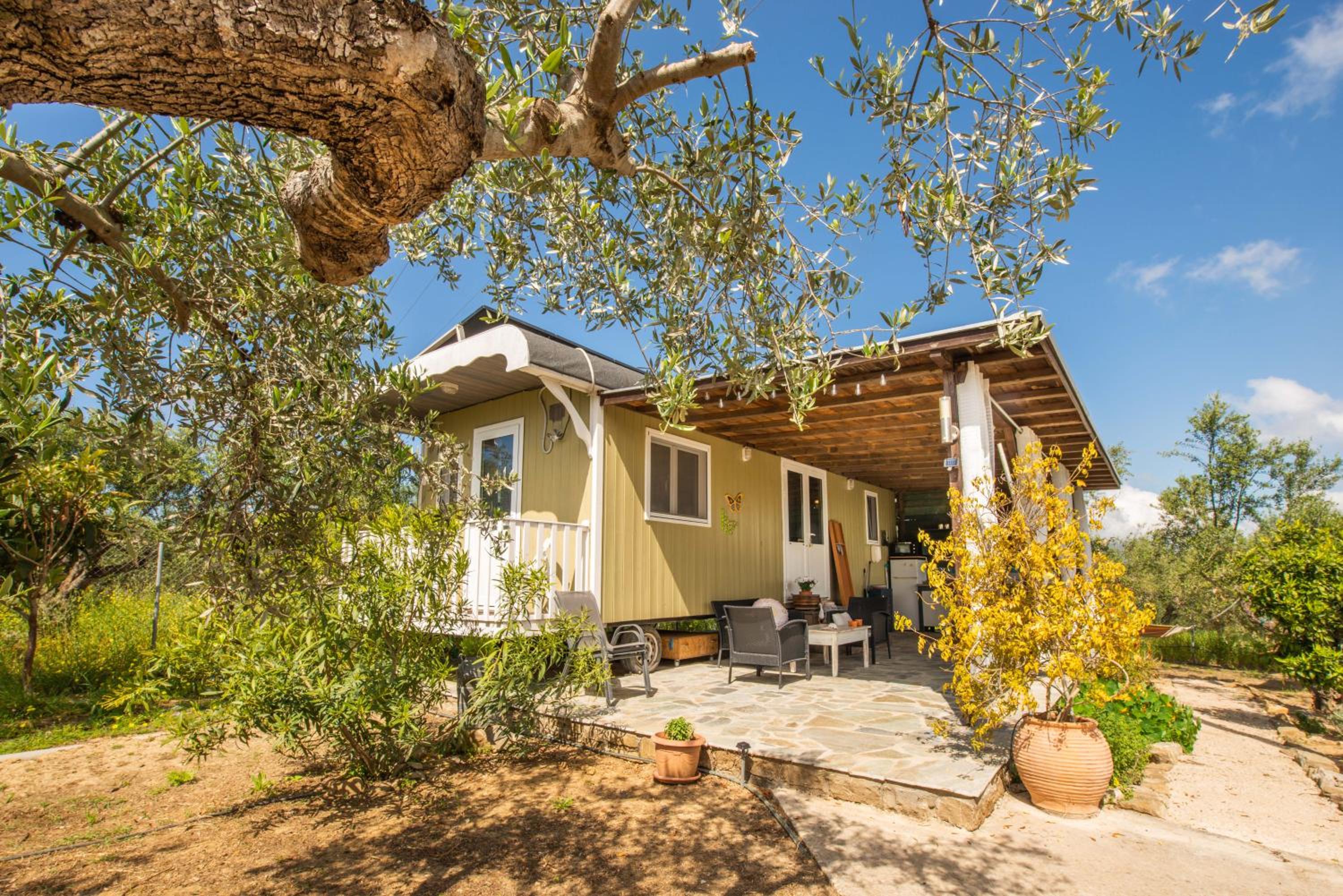 Hakuna Matata Holidays Agalia with airco & pool in Greek Olive Grove photo 2