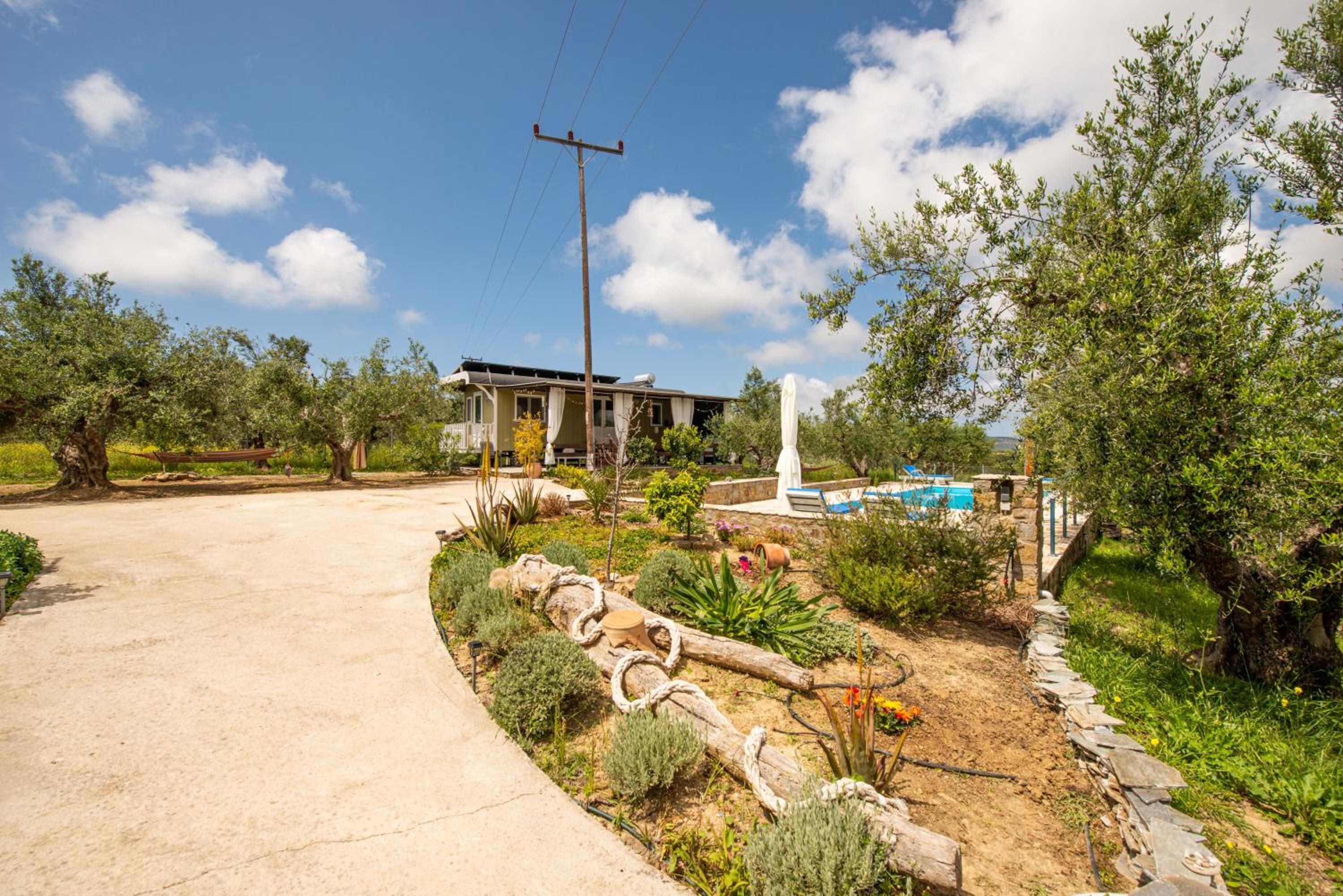 Hakuna Matata Holidays Agalia with airco & pool in Greek Olive Grove photo 4