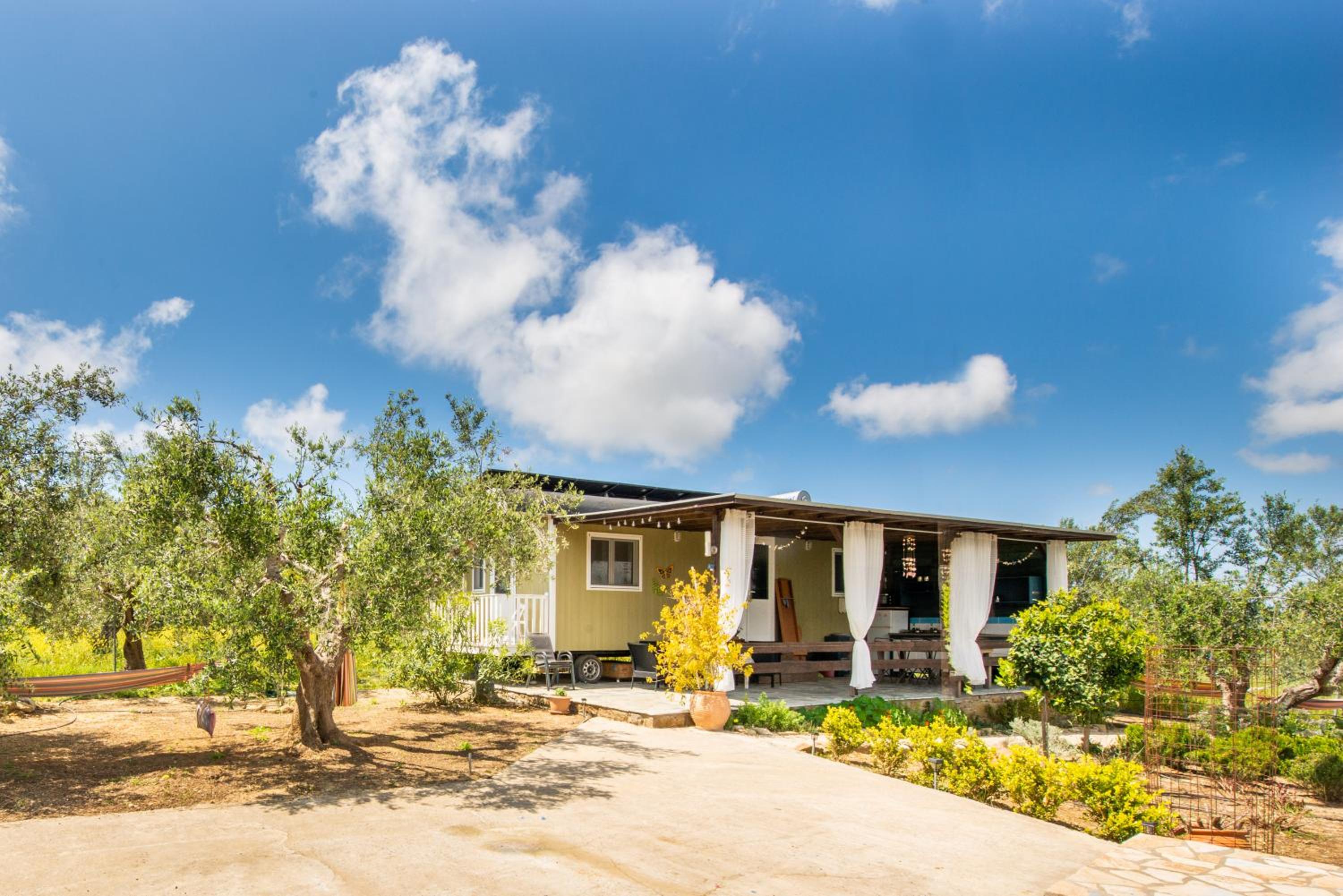 Hakuna Matata Holidays Agalia with airco & pool in Greek Olive Grove photo 3