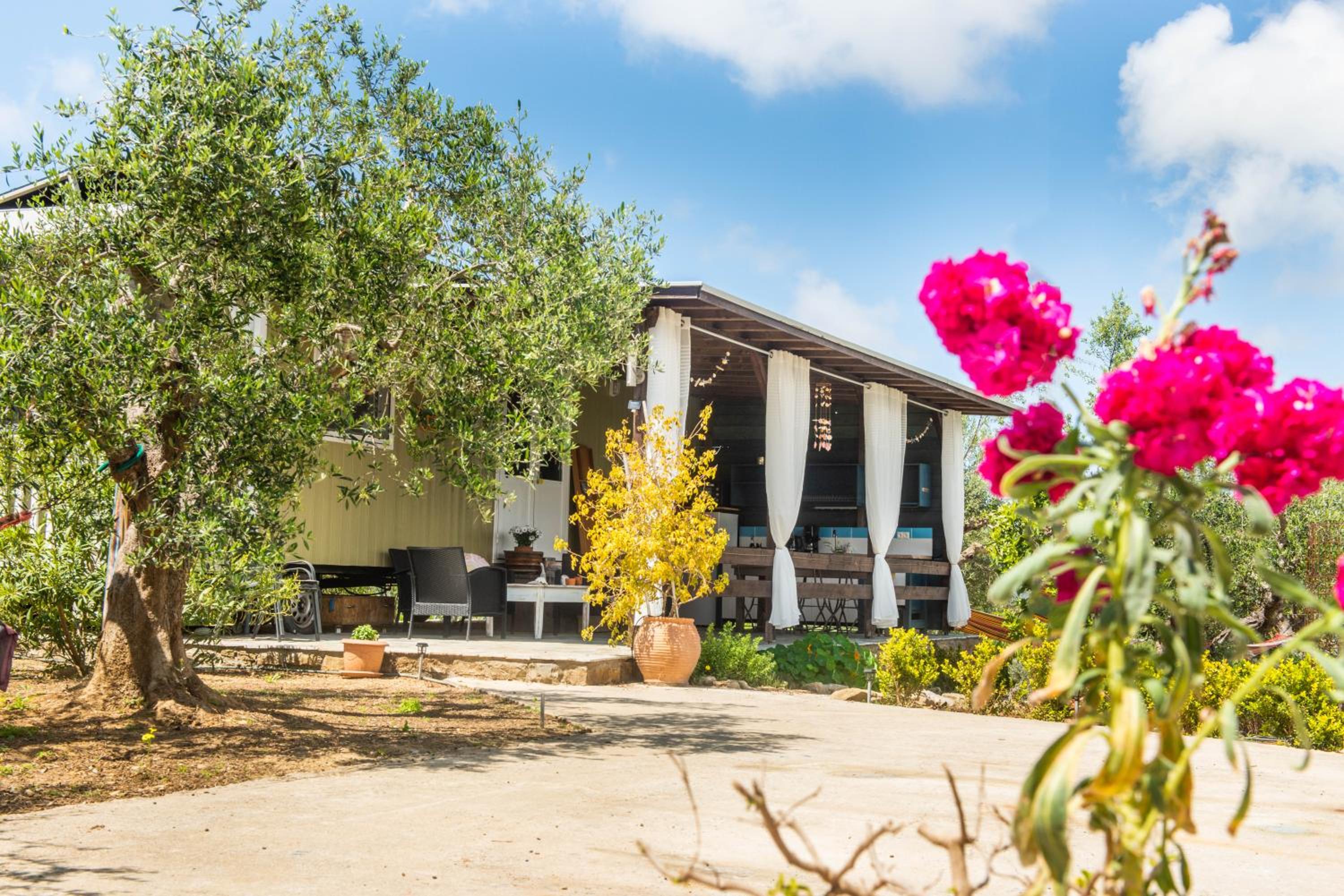 Hakuna Matata Holidays Agalia with airco & pool in Greek Olive Grove photo 1