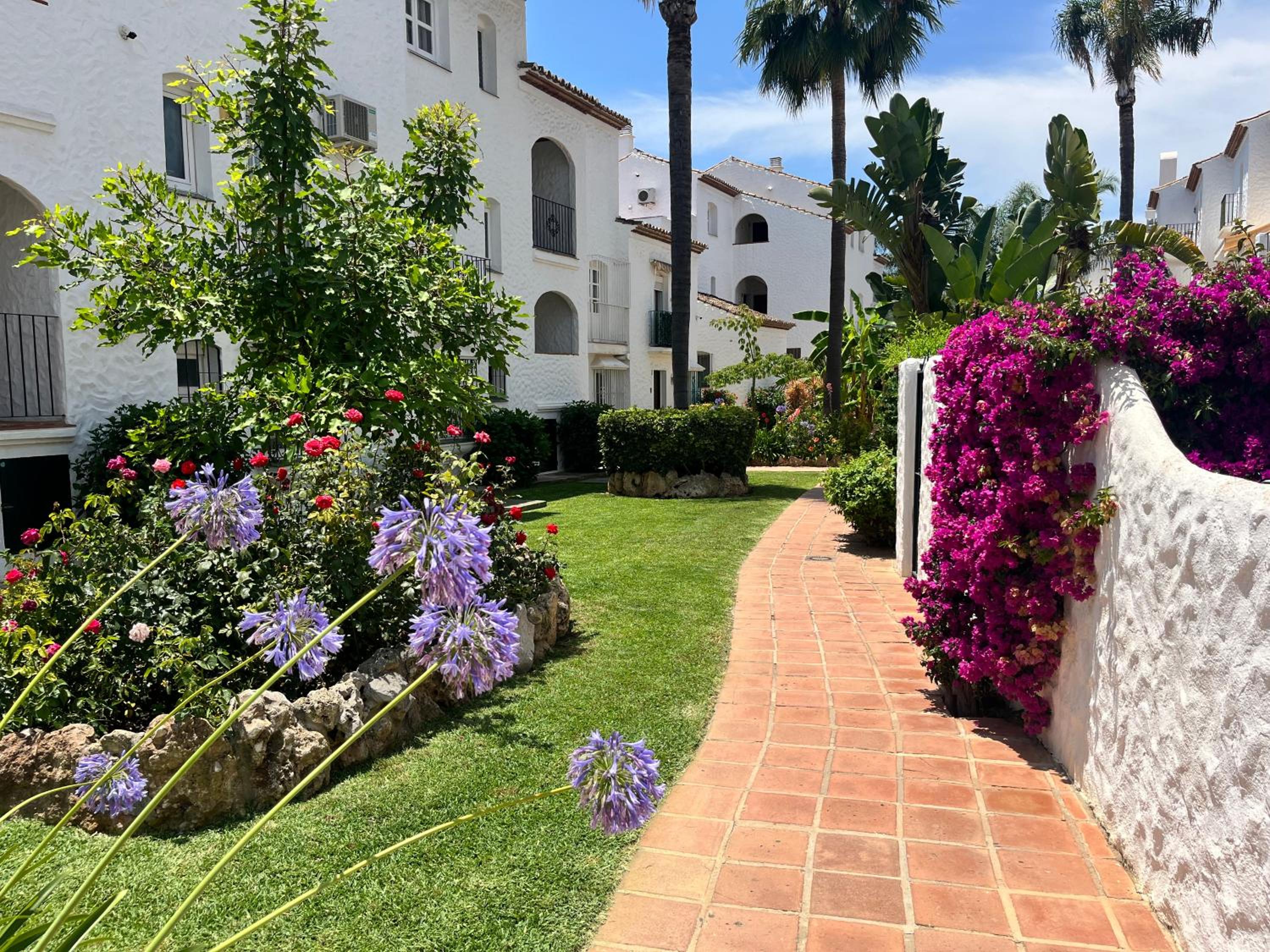 Benavista Paradise