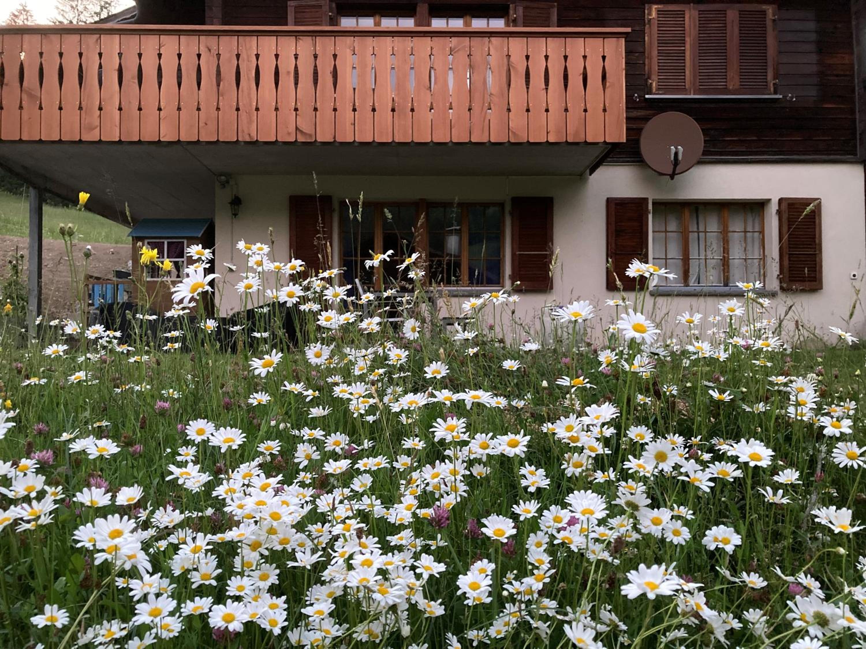 Chalet Hagenbächli