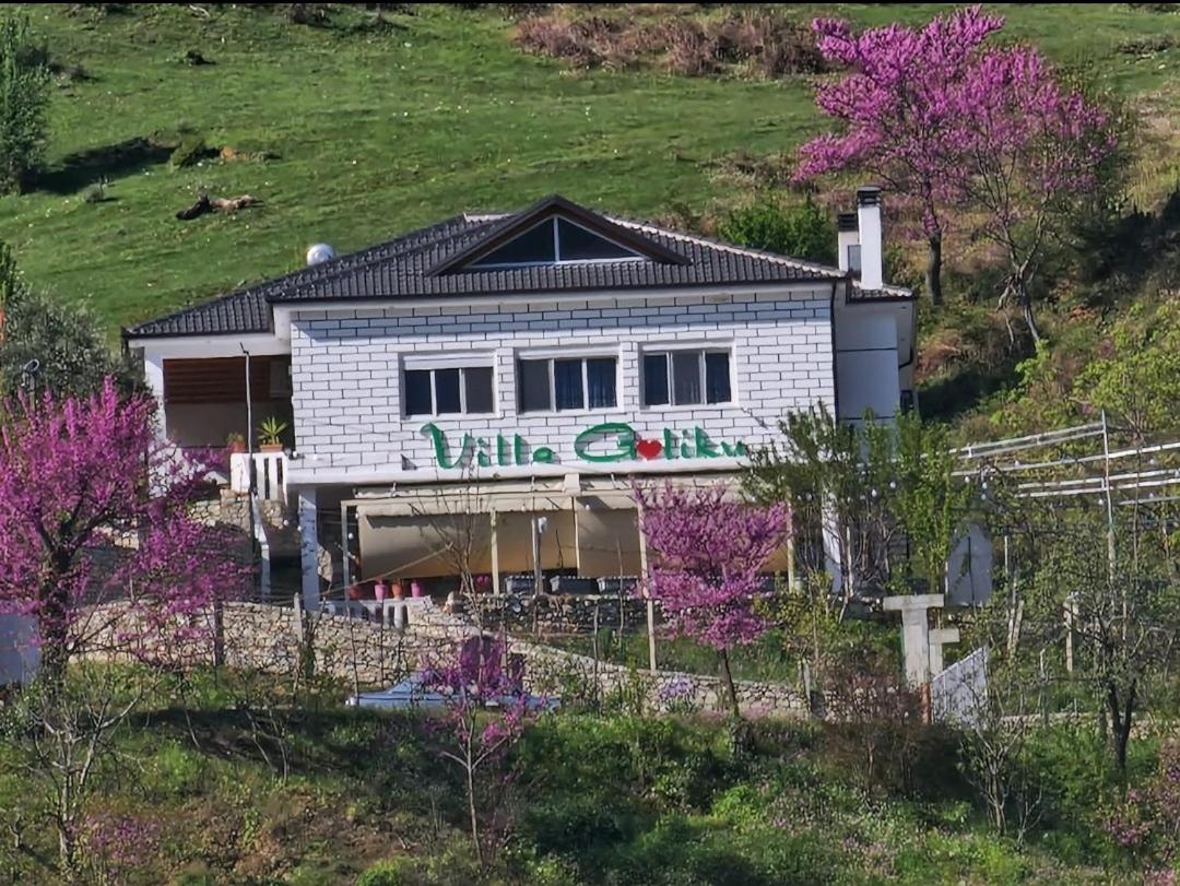 Villa Goliku