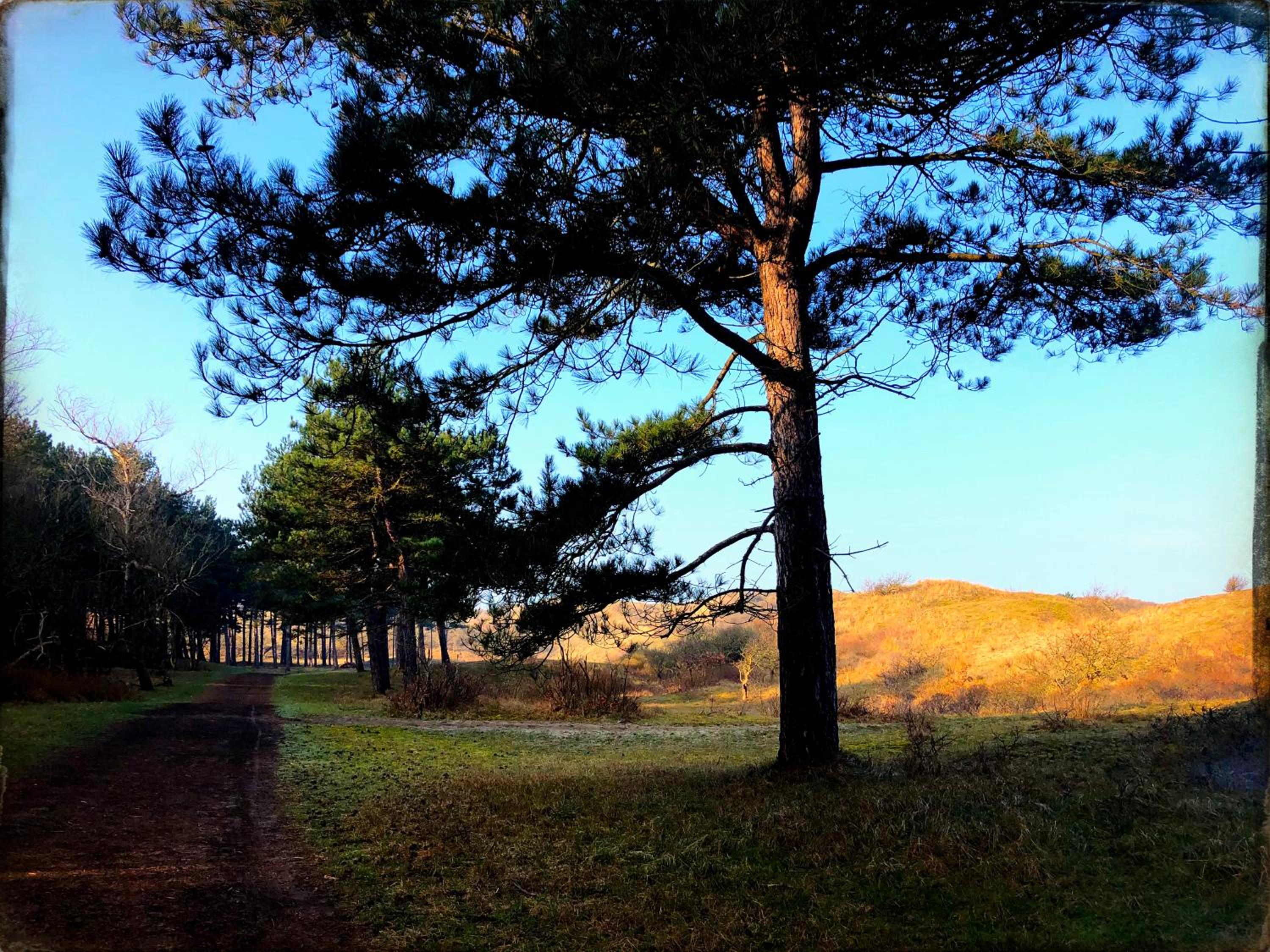 Photo 41
