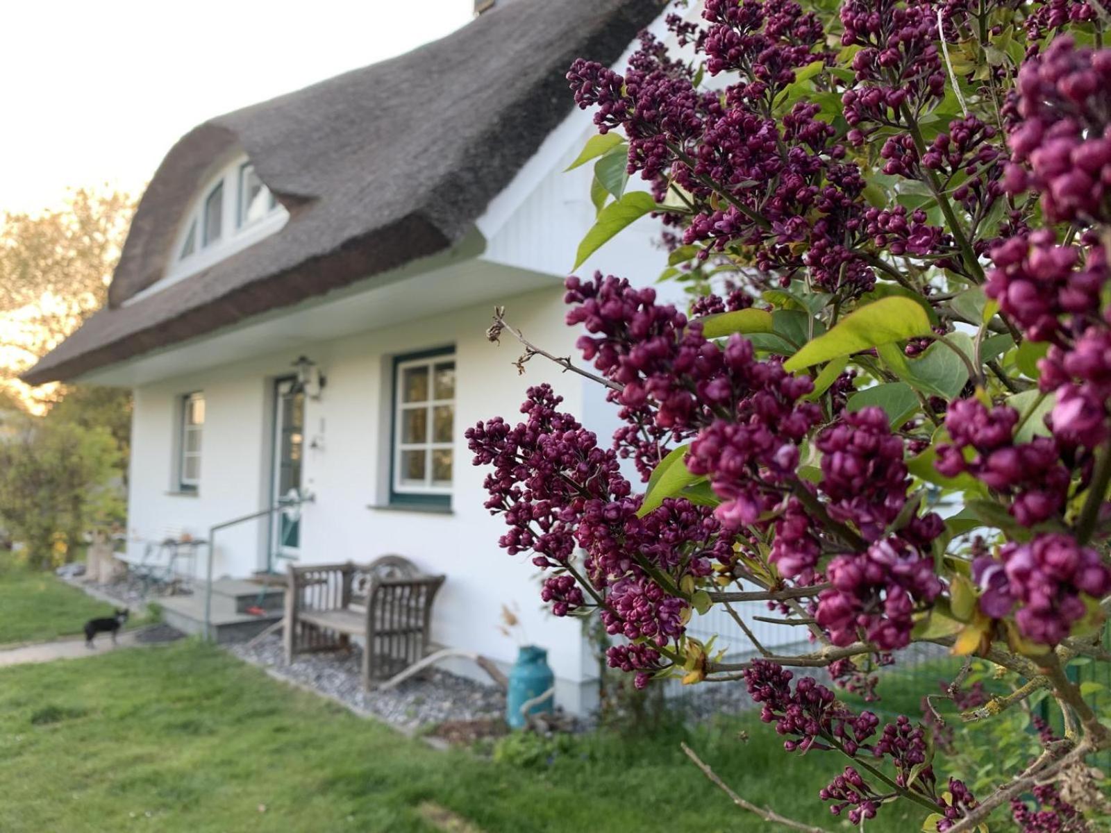 Ferienhaus 