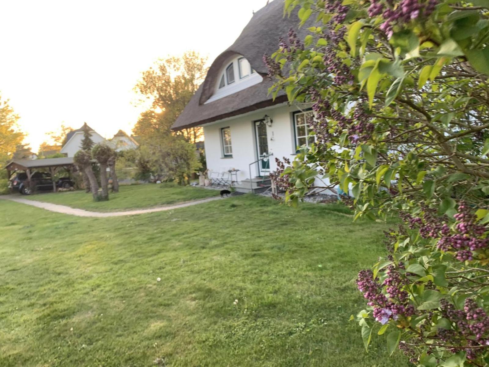 Ferienhaus 