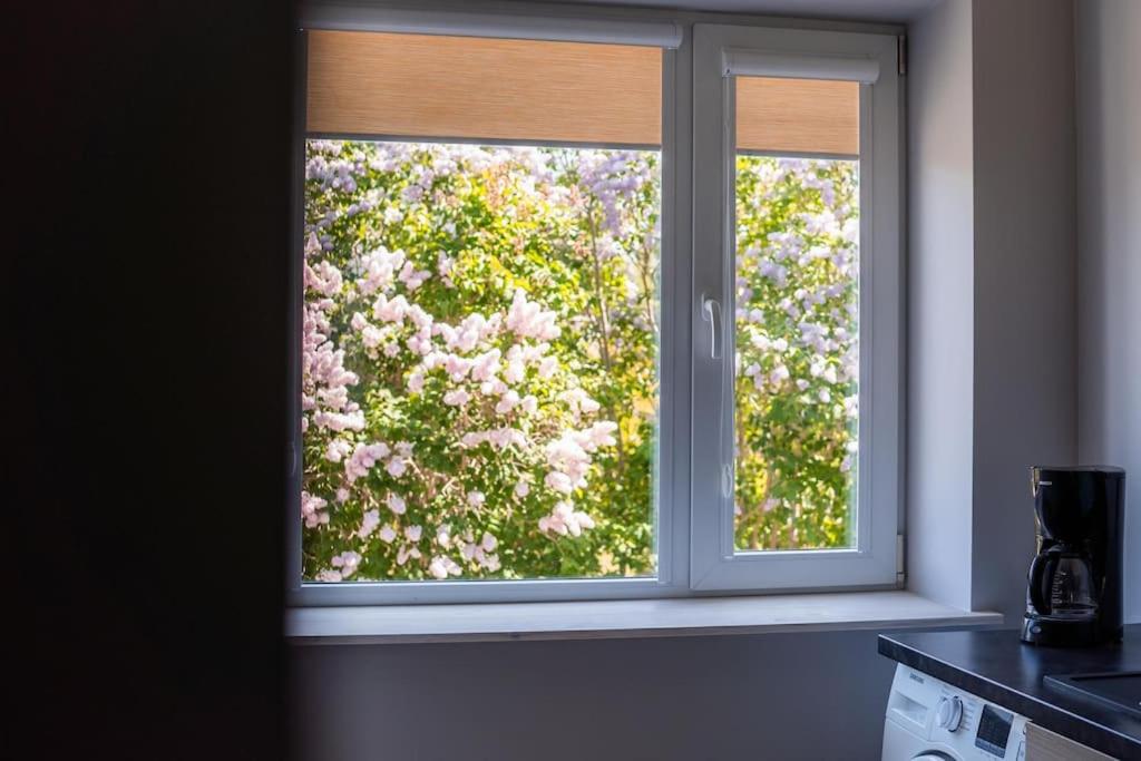 Cozy apartment in the city center of Kärdla view 4
