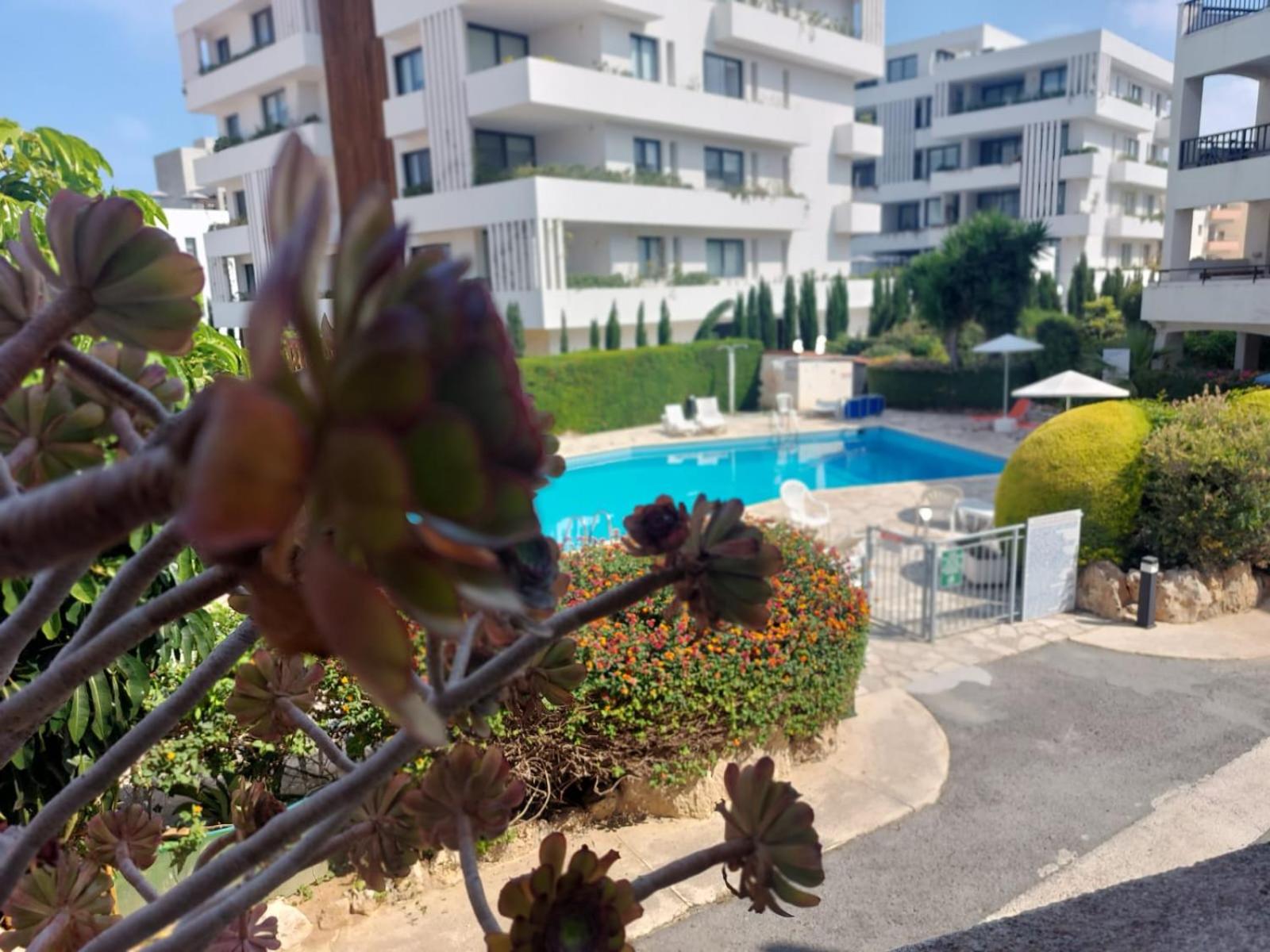 1st Floor 1st Class Pool View Apt.