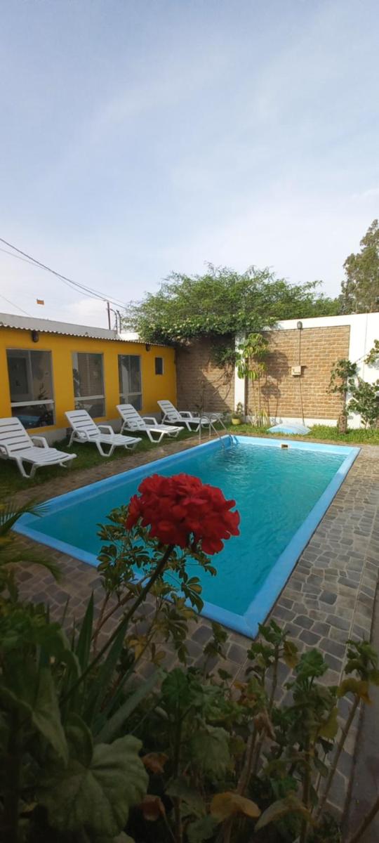 Diamond Monkey Lodge