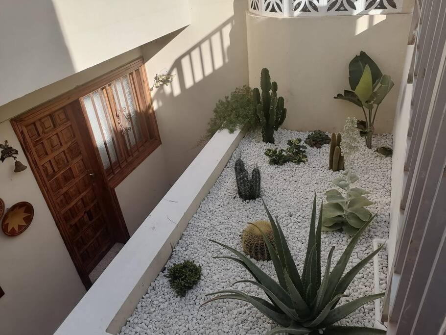 Hotel Casa las pencas de margarita - Image 1