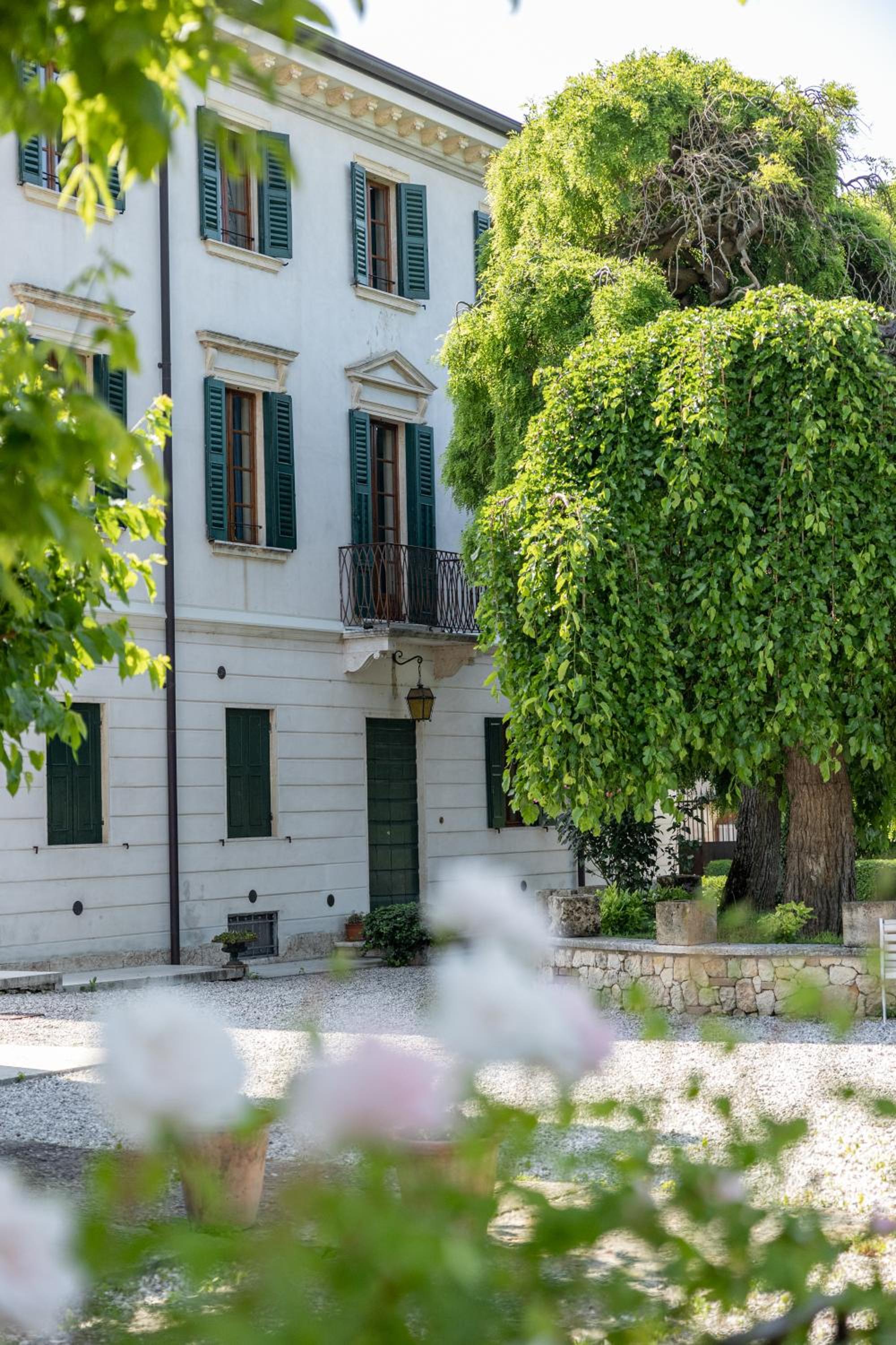 B&B Villa Nichesola, photo 11