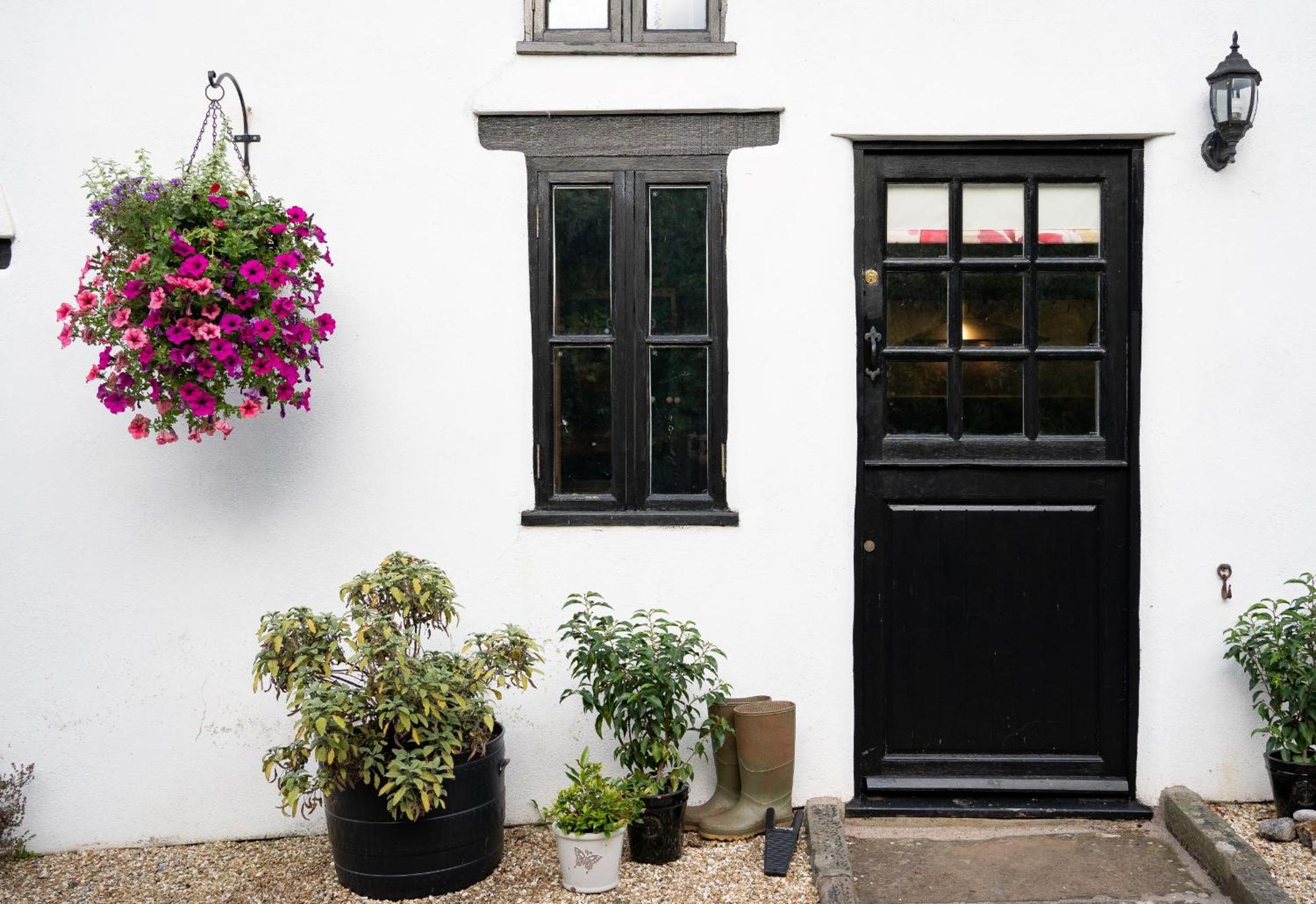 Woodview - cosy 1840s cottage in Chew Valley and Mendip AONB view 2