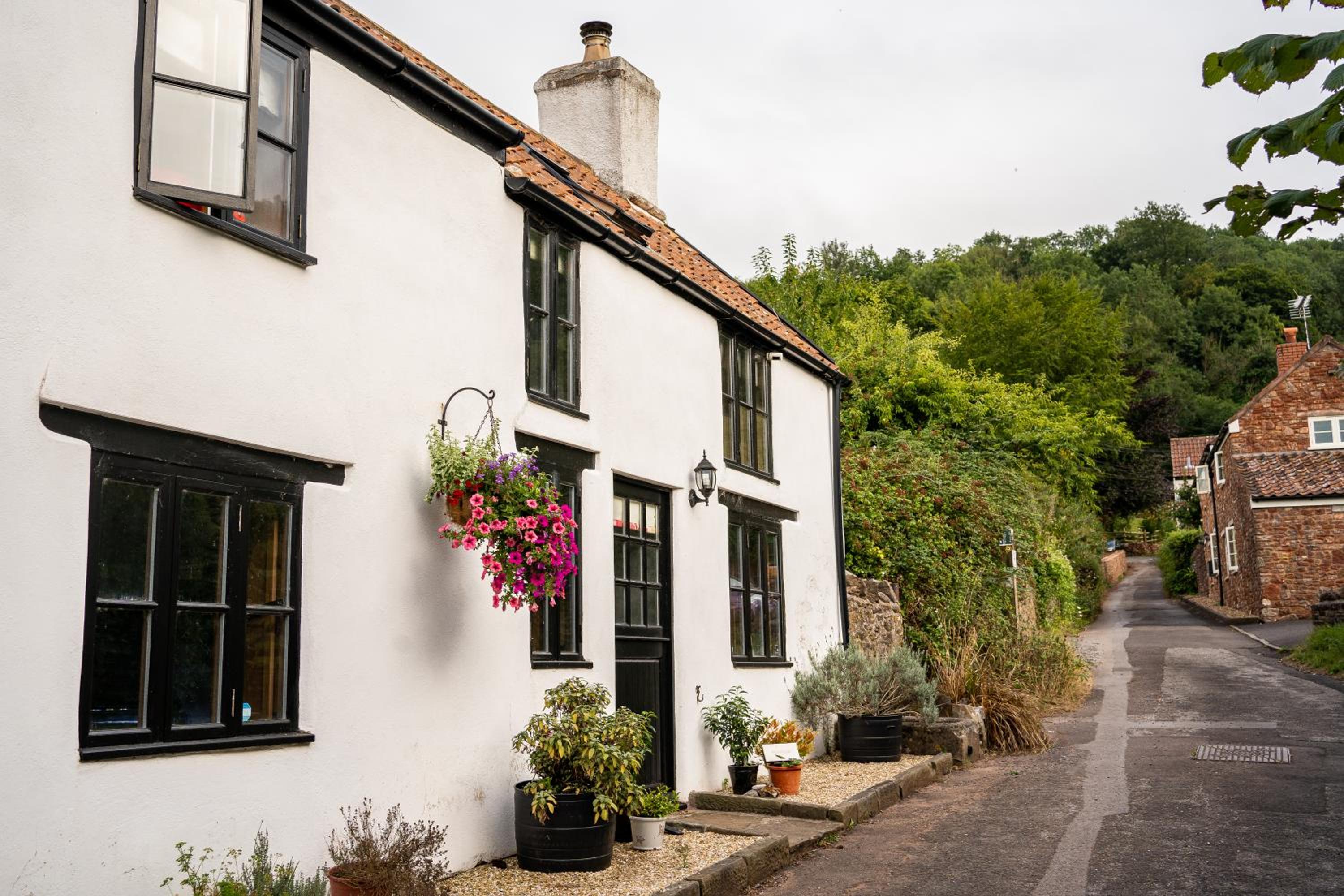 Woodview - cosy 1840s cottage in Chew Valley and Mendip AONB view 3