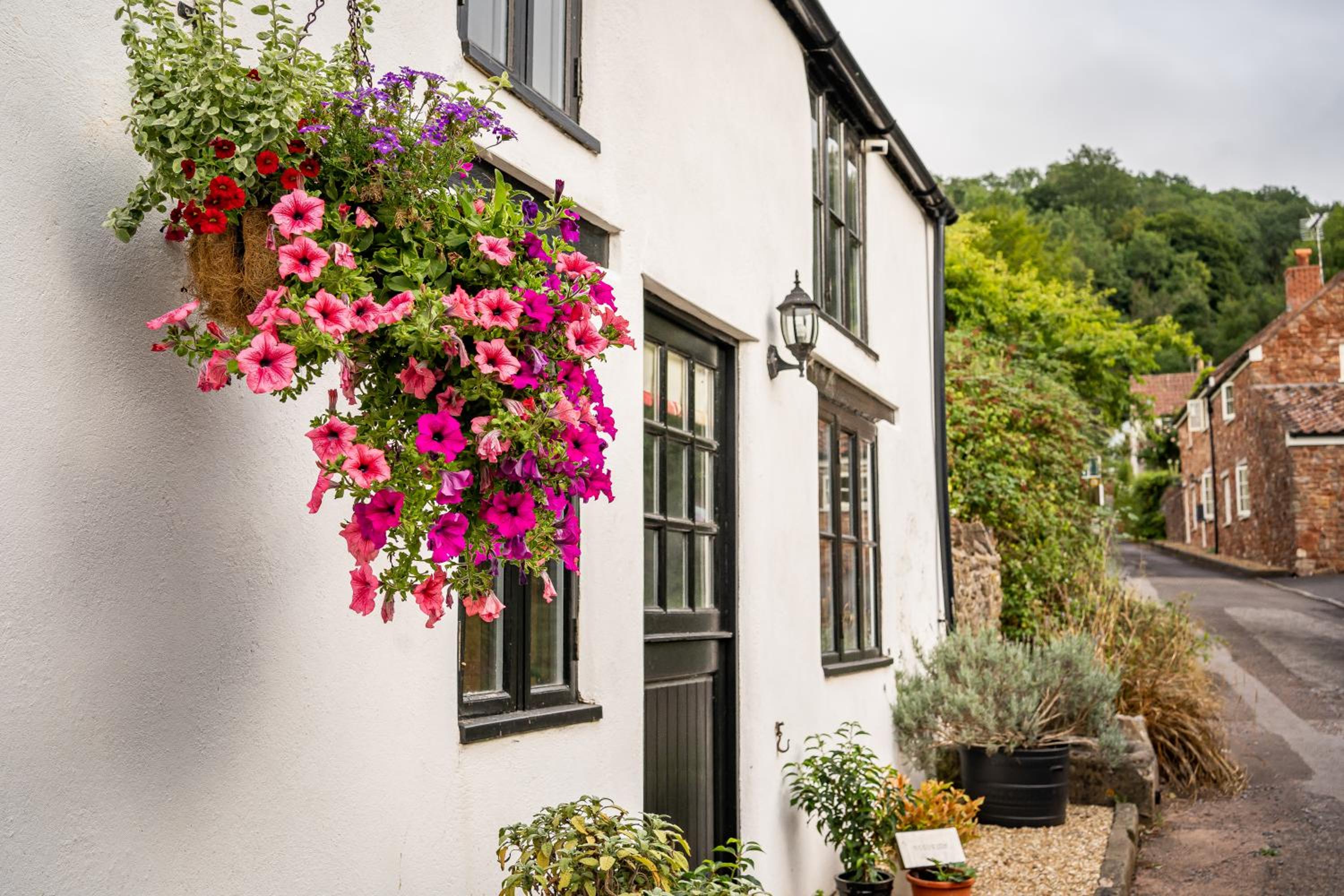 Woodview - cosy 1840s cottage in Chew Valley and Mendip AONB view 5