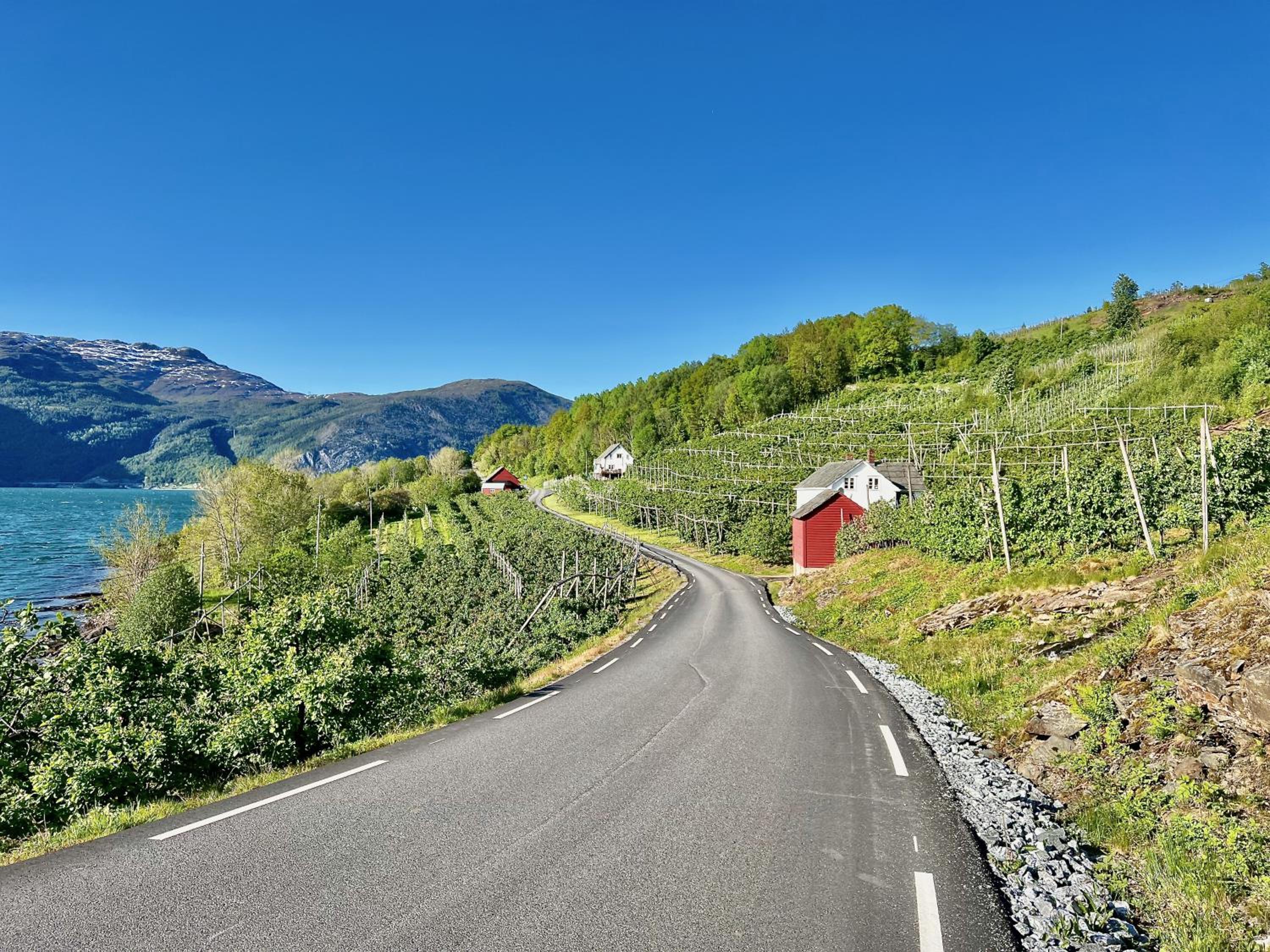 Hardangerfjord View - luxury fjord-side holiday home