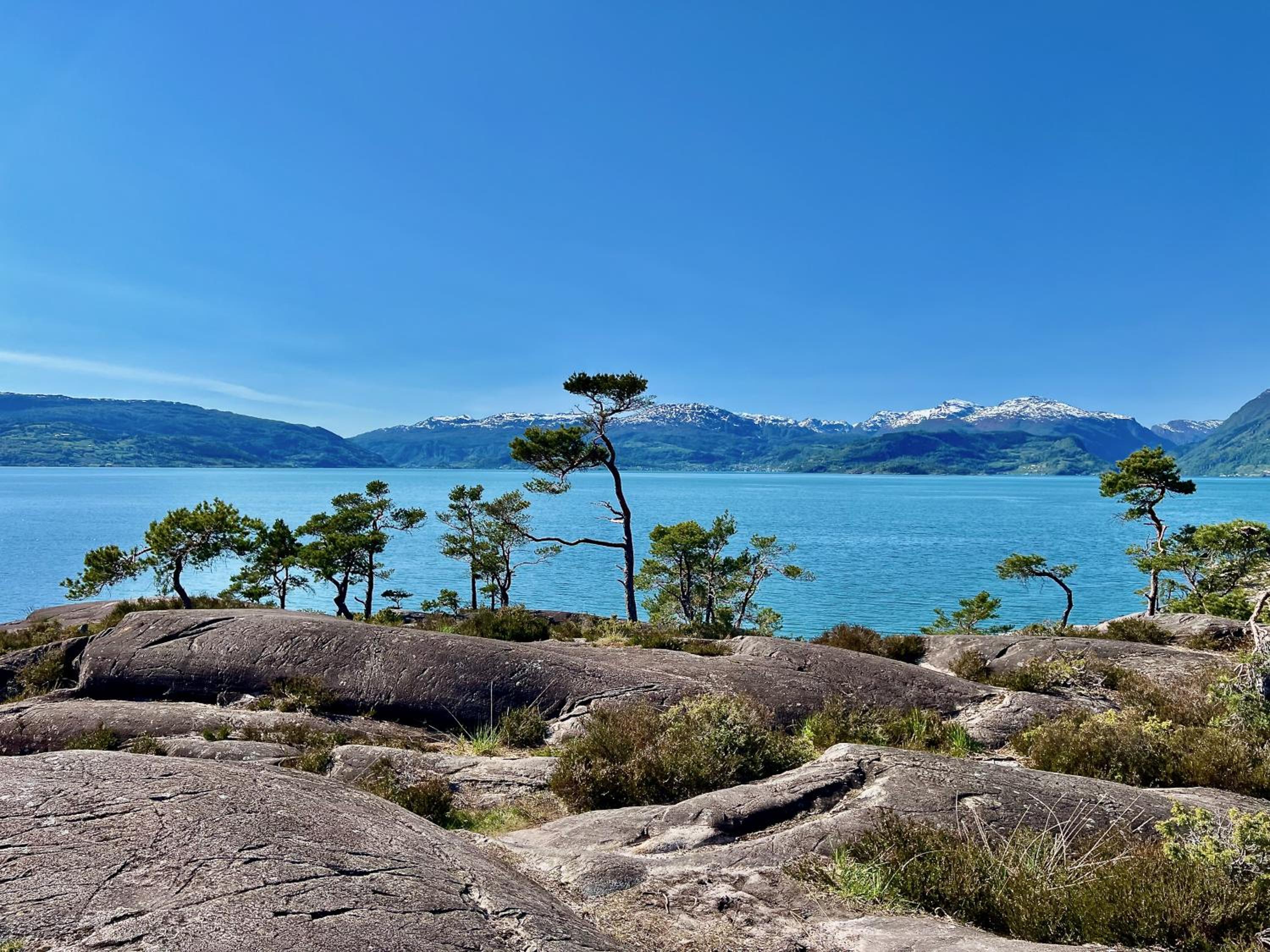 Hardangerfjord View - luxury fjord-side holiday home