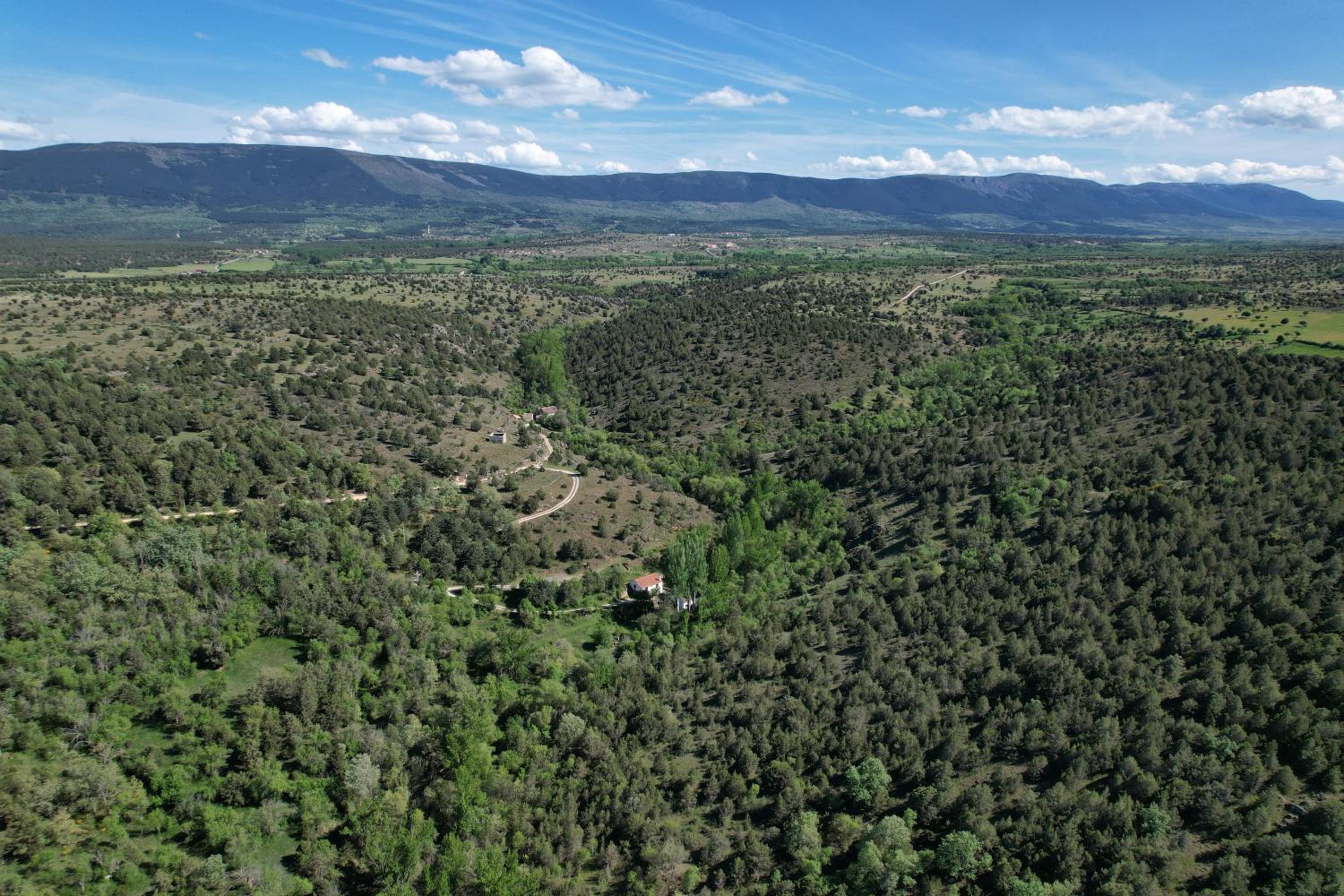 Molino del Feo