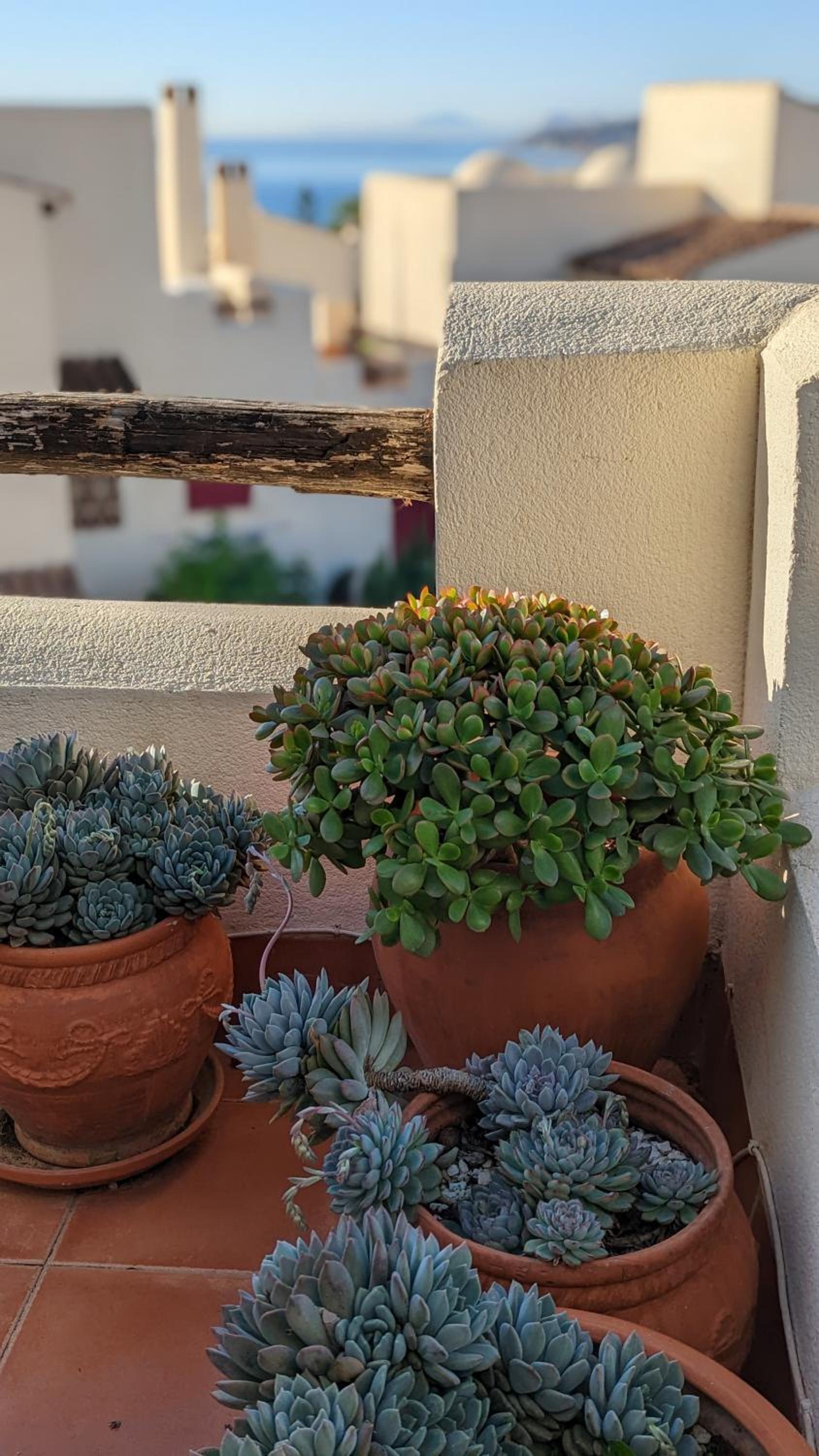 Vista Bahia Casares
