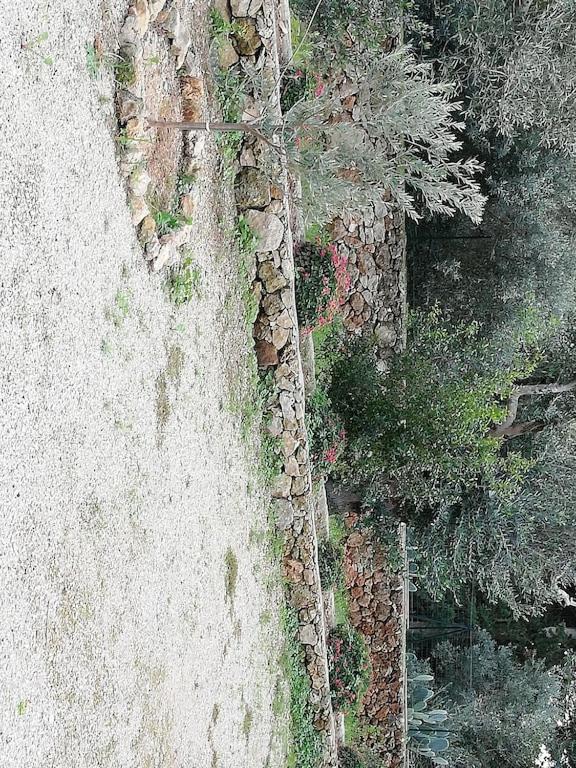 Villa Grazia Baia Verde Gallipoli a 200mt dalla spiaggia e a pochi passi dai Locali Notturni view 4
