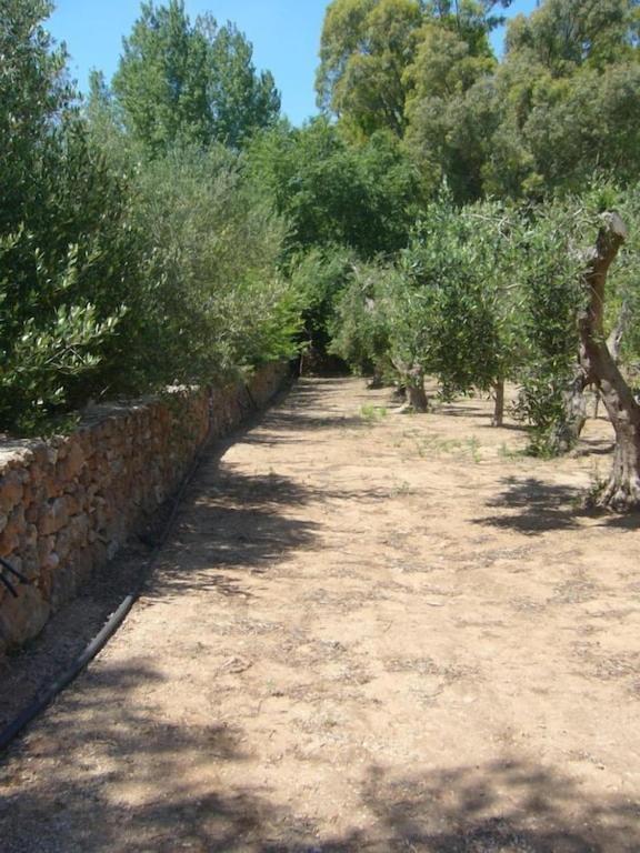 Photo 24