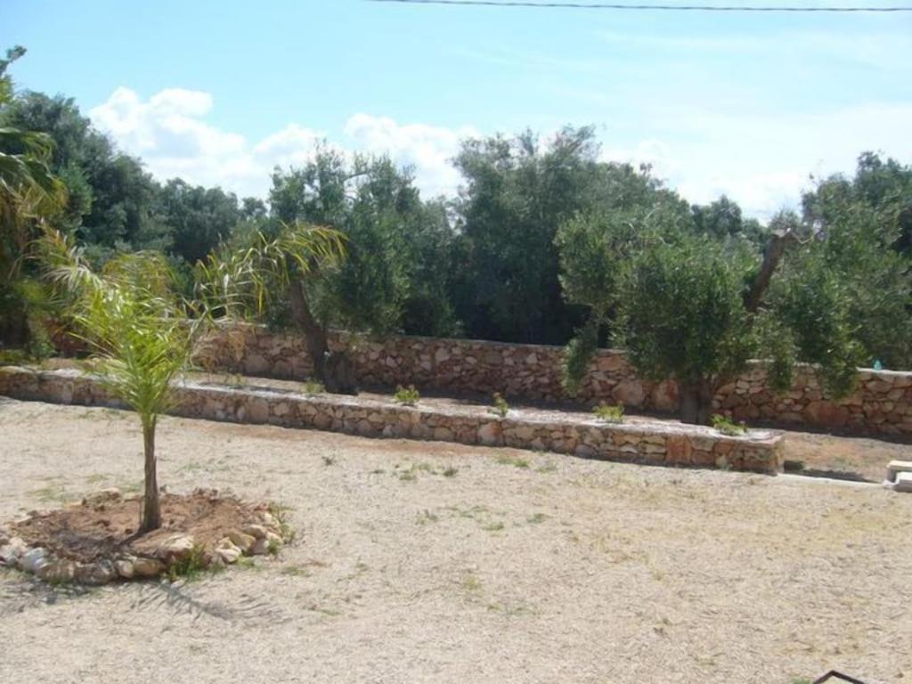 Photo 28