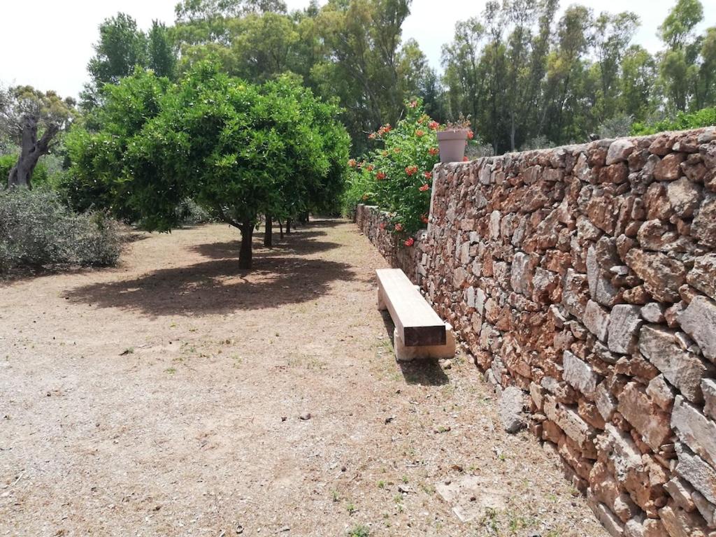 Photo 42