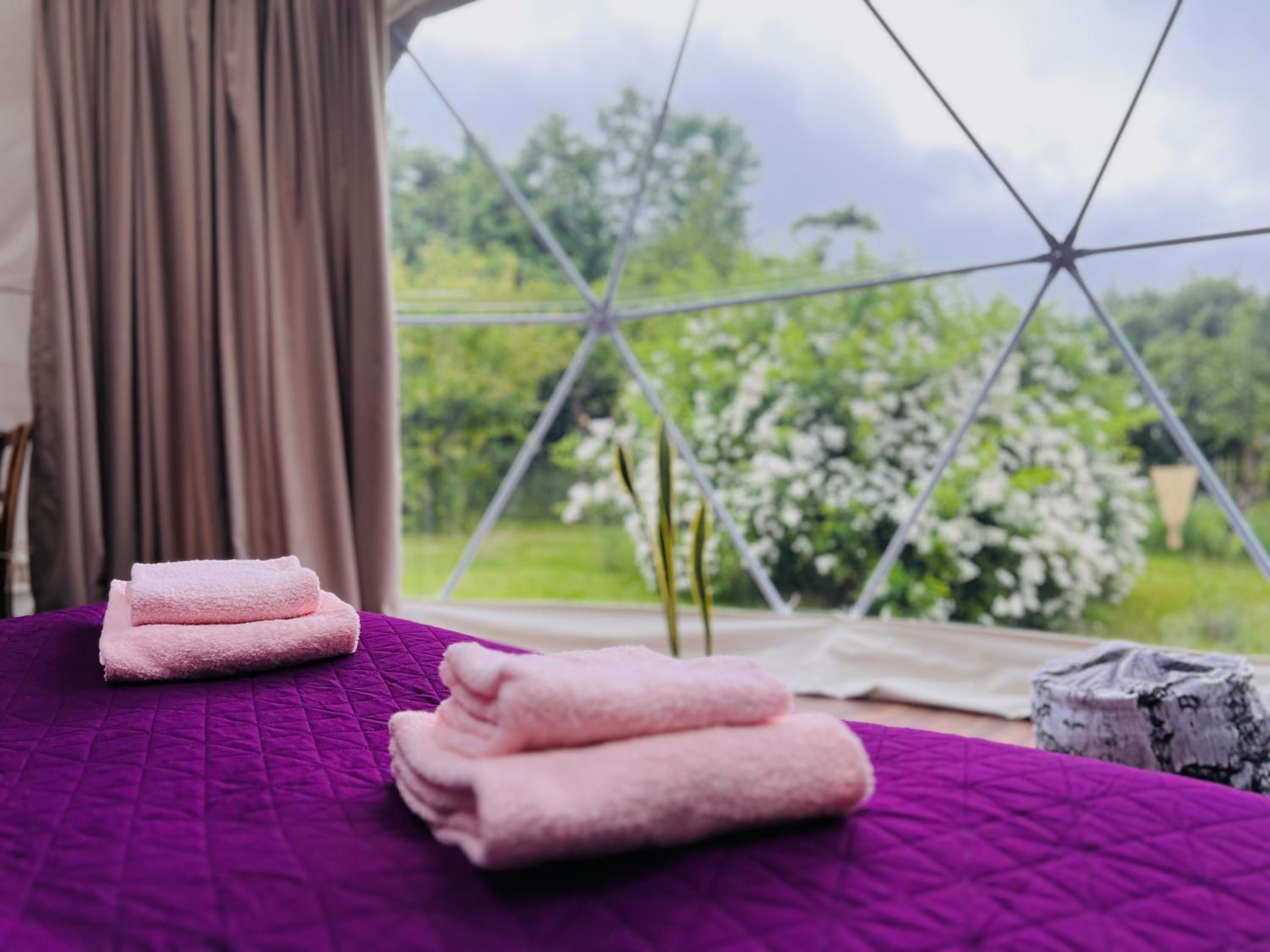 Glamping Stacja Zieleniec w Nałęczowie
