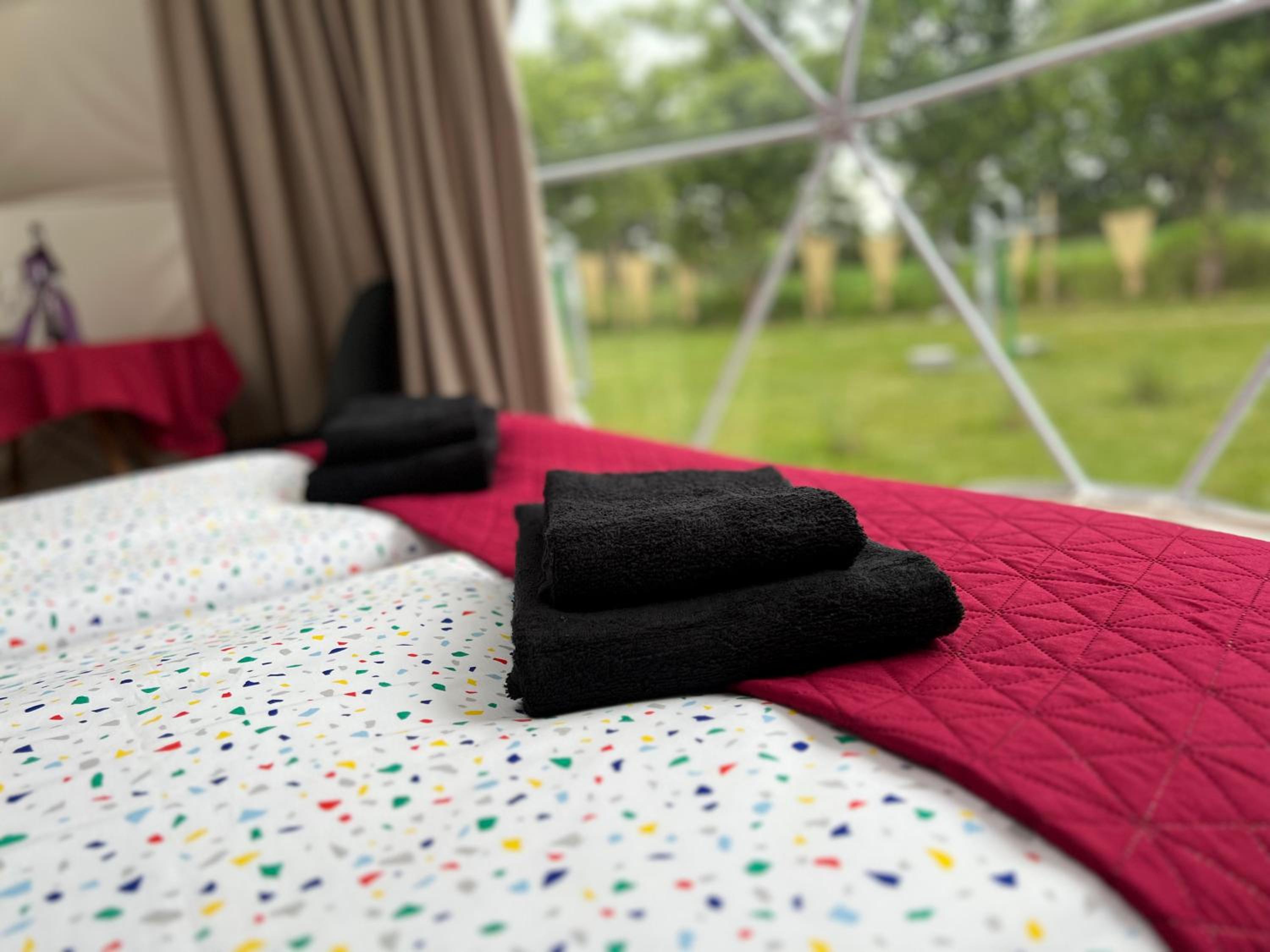 Glamping Stacja Zieleniec w Nałęczowie