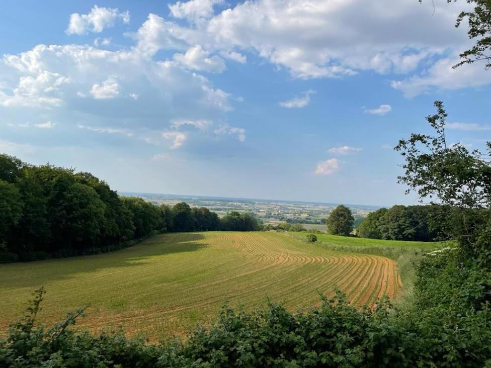 Blauwersnest
