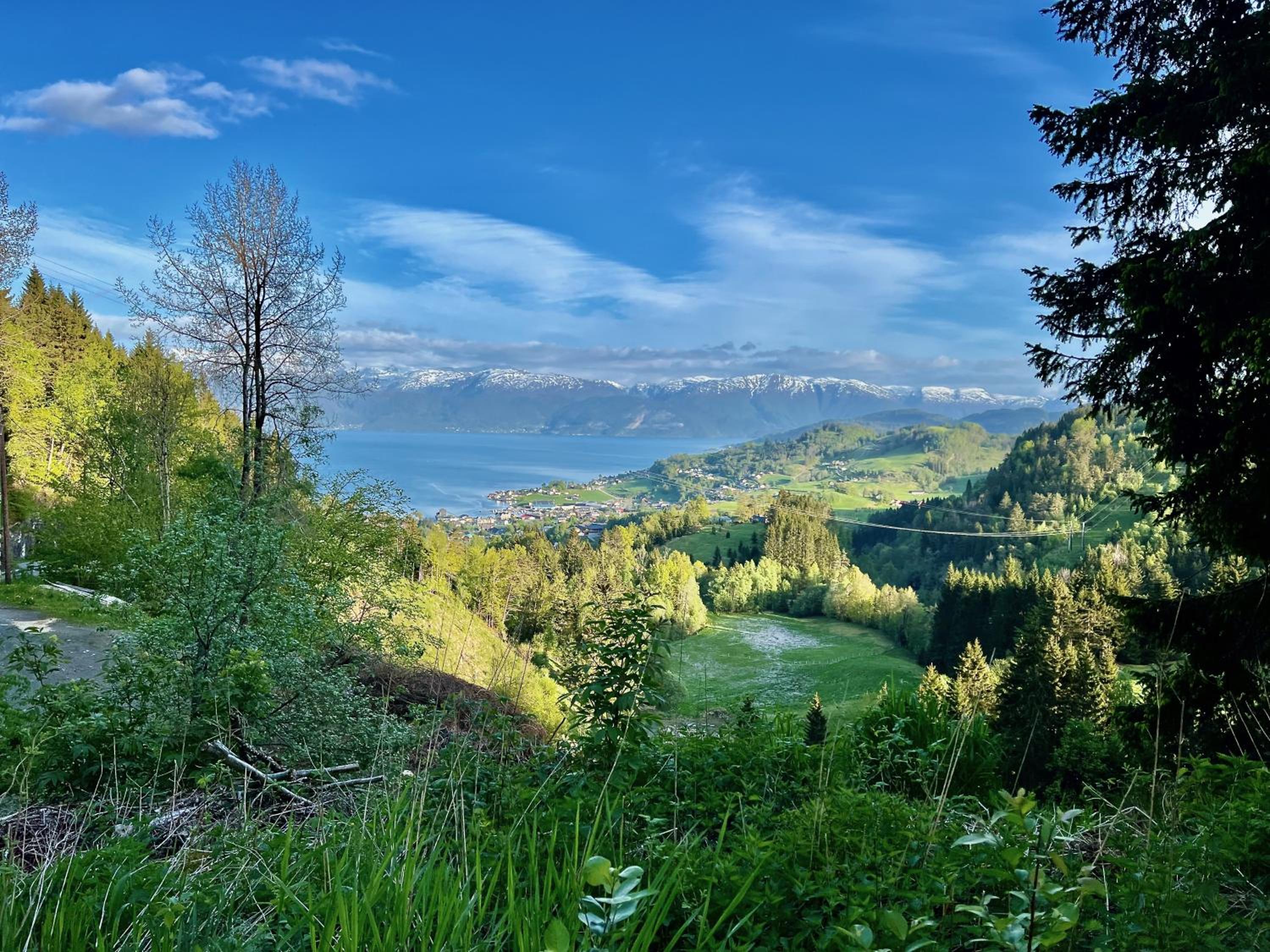 Hardangerfjord View - luxury fjord-side holiday home